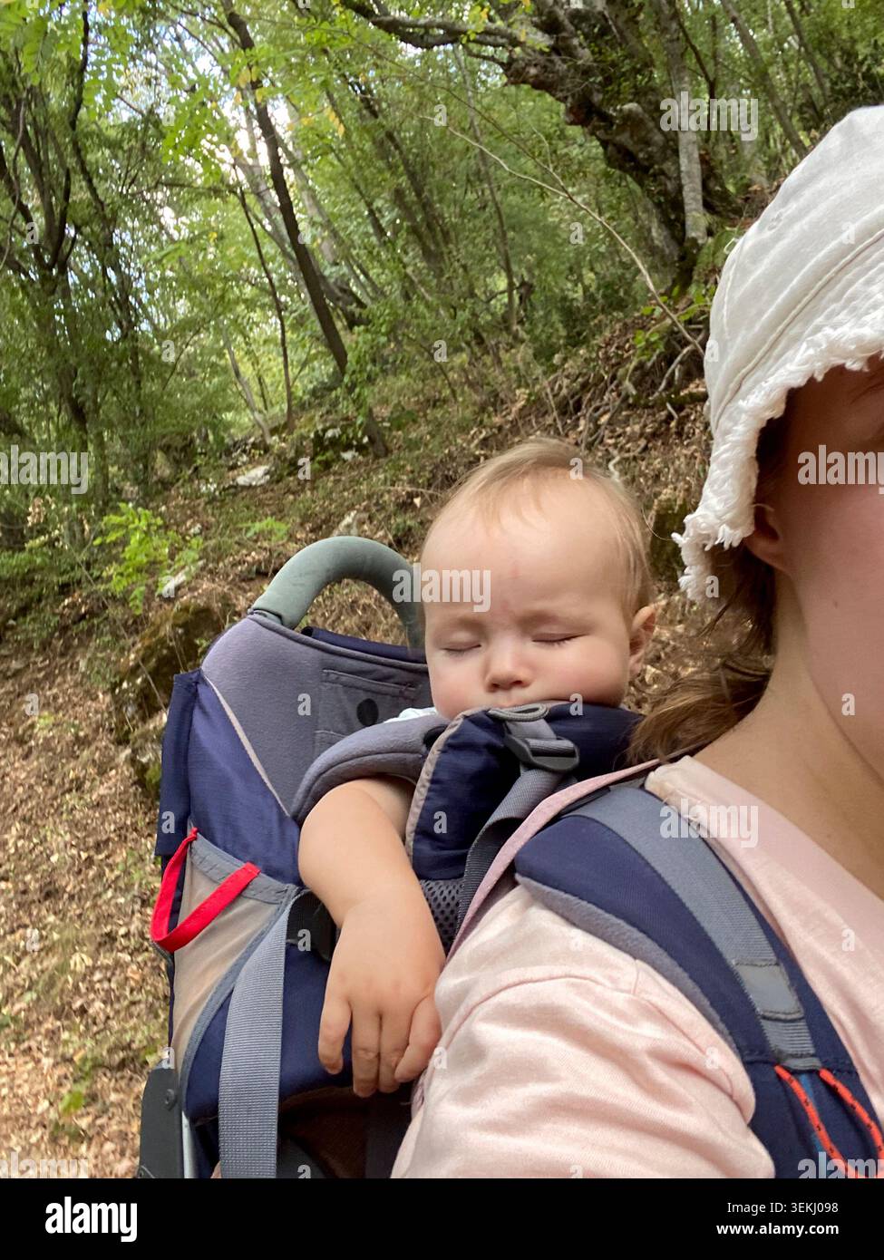 Schlafendes Kleinkind in Wanderkindertrage auf Waldweg Stockfoto
