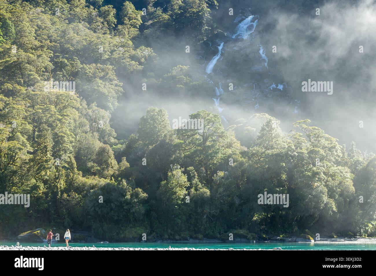 Brüllende Billy Falls am Haast River, Neuseeland Stockfoto