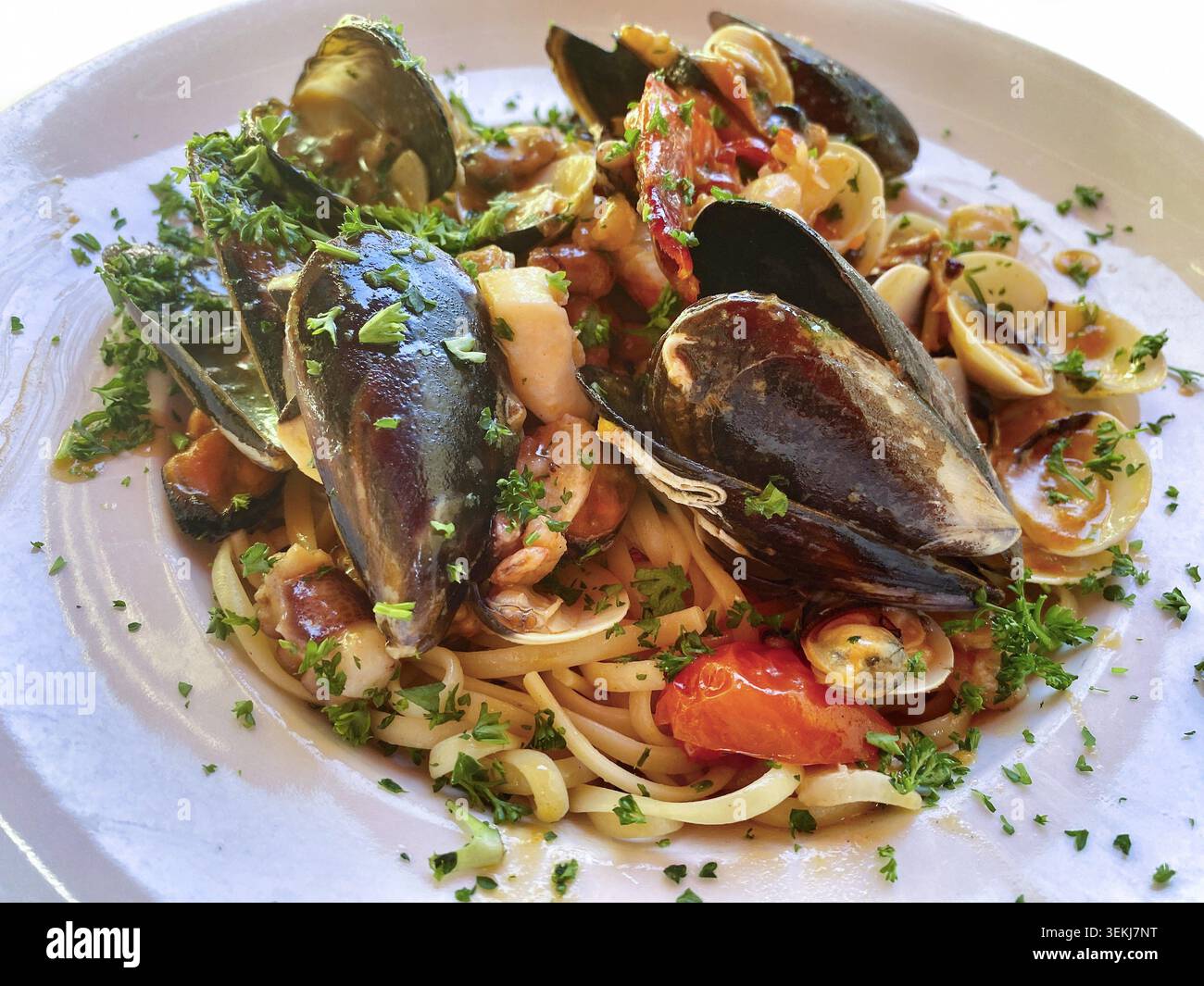 Linguine, Nudeln, italienisches Pastagericht, mit Meeresfrüchten auf dem Teller, Meeresfrüchte, Muscheln, Tintenfisch, Tellergericht, Catering im Freien, Essen, Lutherstadt Wittenberg, Sächsisch Stockfoto