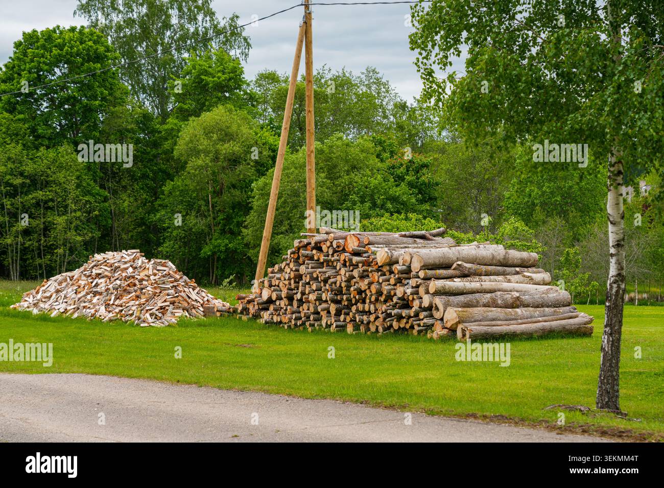 Stapel von Brennholz und Holzschnitten, die draußen auf ländlichen Grundstücken in der Nähe von Waldrandlandschaften gelagert werden Stockfoto