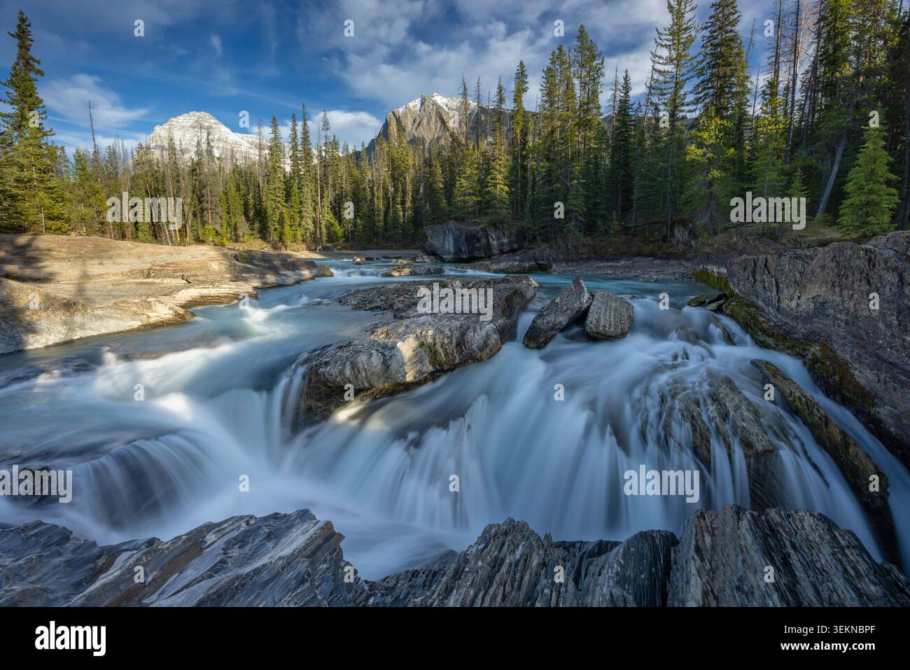 Der Kicking Horse River an der Natural Bridge im Yoho National Park, British Columbia, Kanada. Herbst (Oktober) 2024. Stockfoto