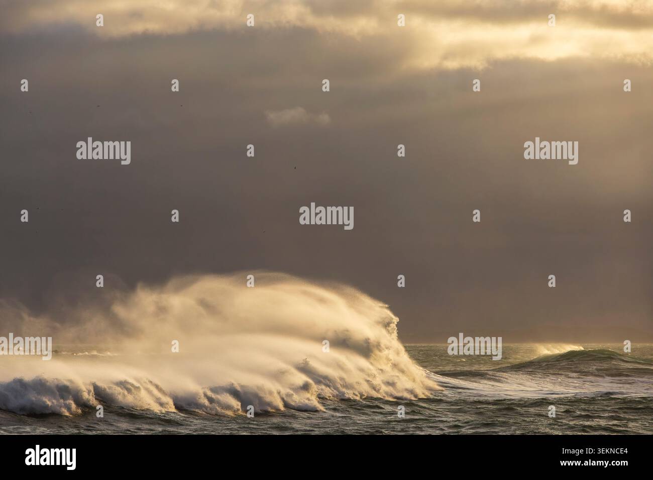 Rollende Wellen vor Ballintoy an der Causeway Coast, County Antrim, Nordirland. Frühjahr (März) 2026. Stockfoto