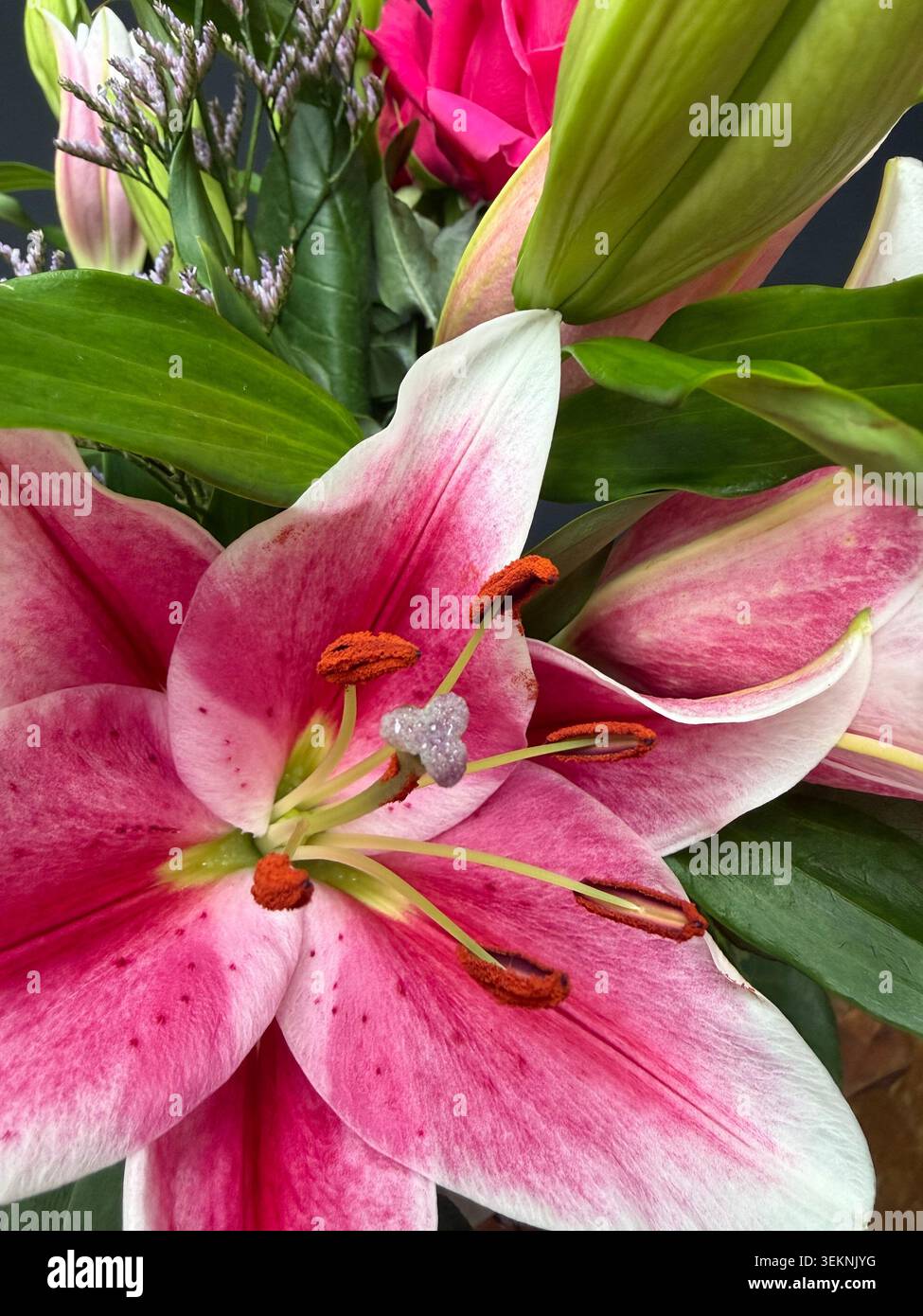 Vase aus rosa Lilien und roten/rosa Rosen - Smartphone-aufgenommenes Stockfoto