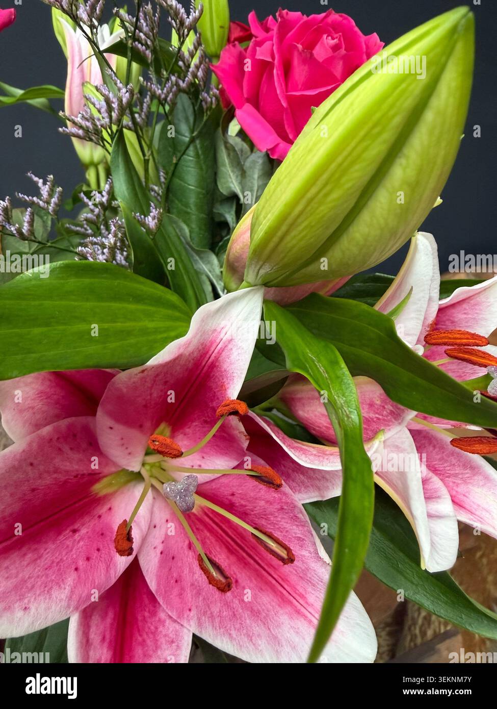 Vase aus rosa Lilien und roten/rosa Rosen - Smartphone-aufgenommenes Stockfoto