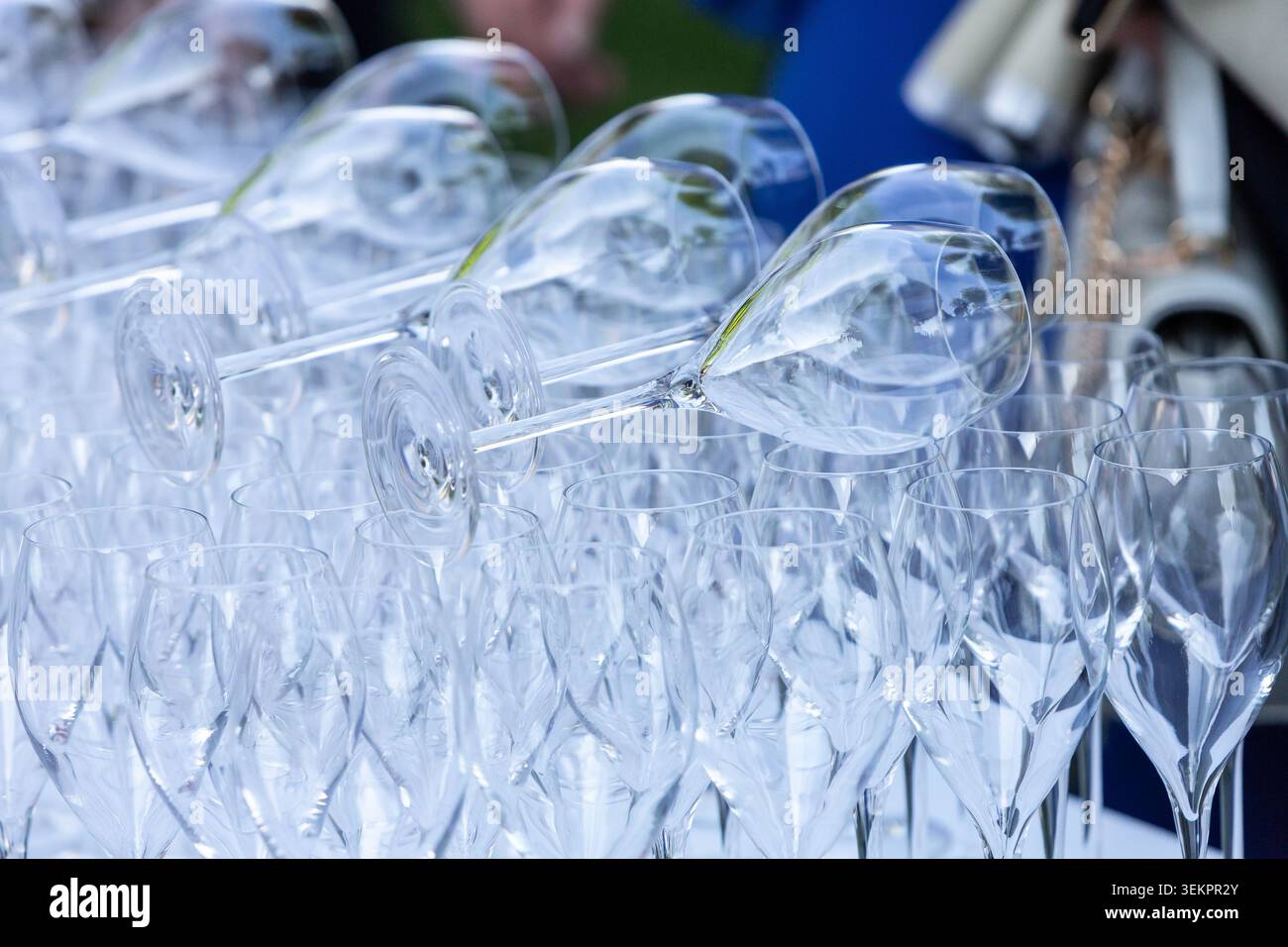 Reihen sauberer, leerer Stielgeschirr, bereit für Drinks auf einer Party oder einem besonderen Anlass Stockfoto