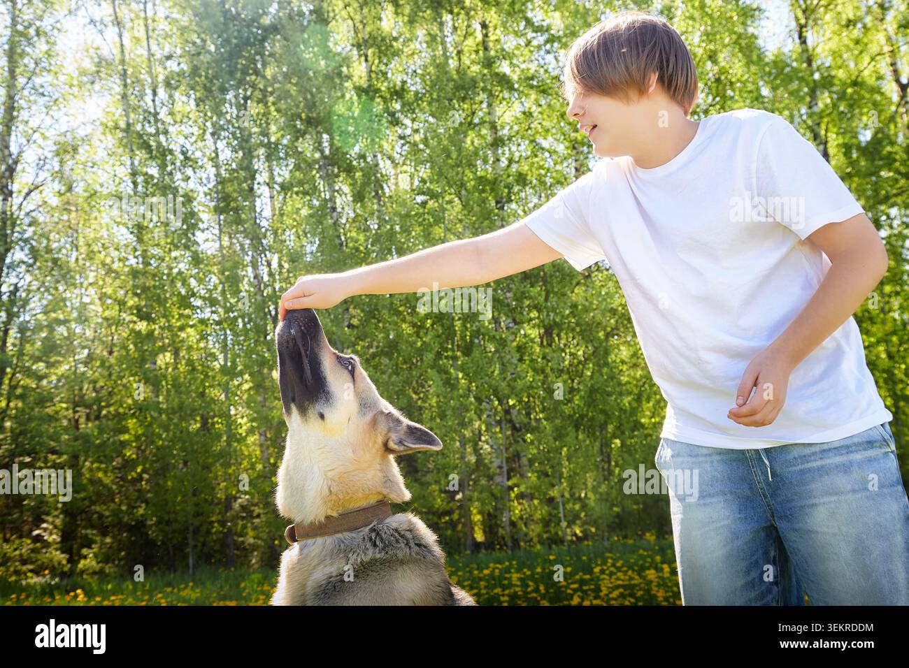 Junge interagiert mit Hund in einem sonnigen Park umgeben von grünen Bäumen und Blumen Stockfoto