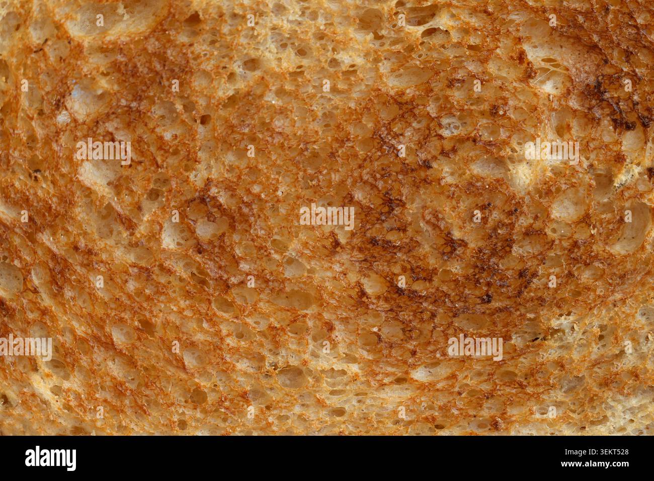 Nahaufnahme von geröstetem Getreidebrot, seiner goldenen Kruste und der rustikalen Textur, die einen warmen, biologischen Hintergrund für lebensmittelbezogene Literatur schaffen. Stockfoto