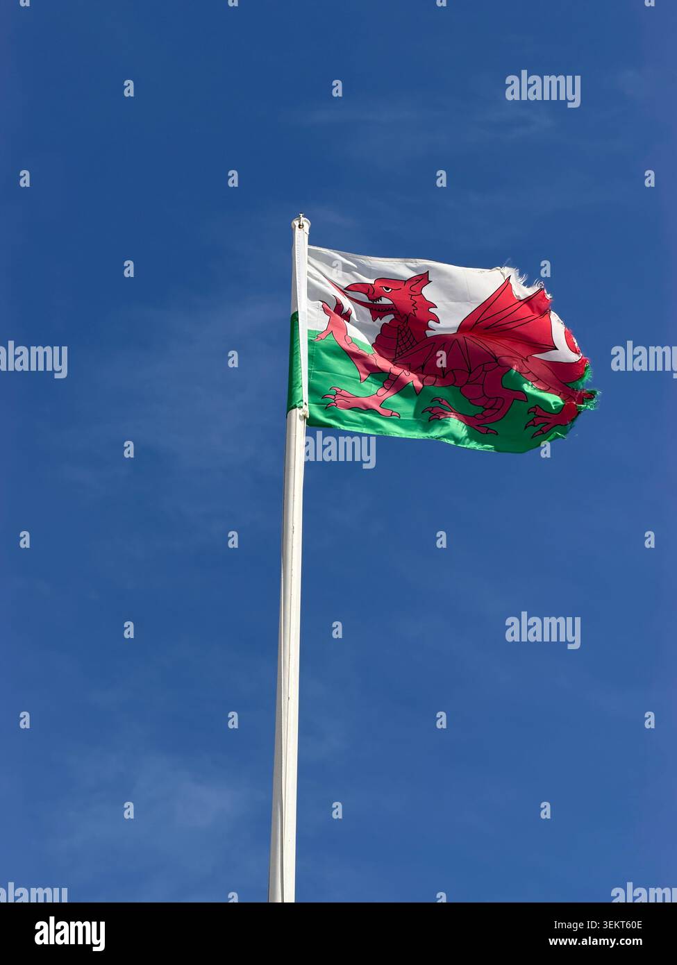Zerrissene und verwitterte walisische Flagge - Smartphone-aufgenommenes Stockfoto