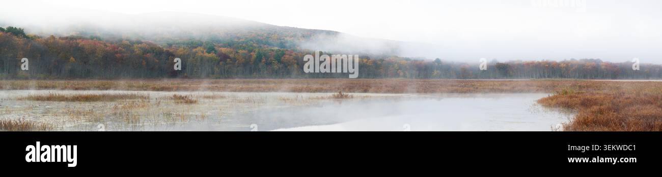 Nebel zieht tief über einem stillen, nebeligen See. Herbstlaub klammert sich in der Ferne an Bäumen. Frost ist am Wasserrand und deutet auf kühle Luft hin. Ruhig, ln Stockfoto