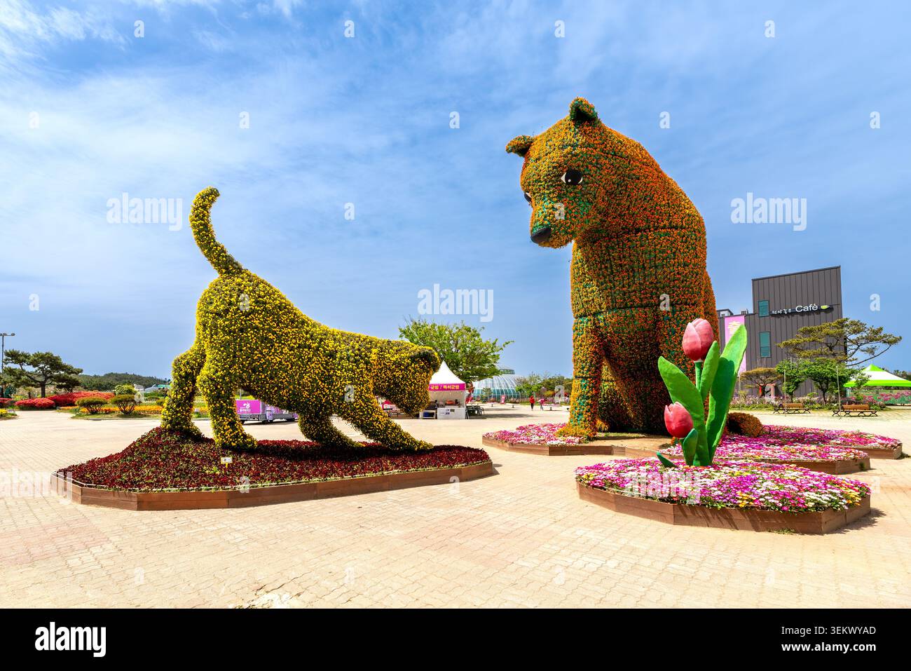 Riesige Skulpturen mit Blumenmutter und Hündchen auf dem Hauptplatz des Korea Flower Park, Taean, Südkorea Stockfoto