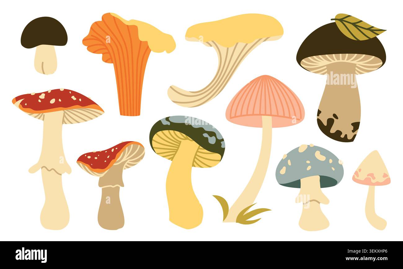 Herbst Pilze Vektor Set Flache Geometrische Wald Pilz Sammlung Isoliert Stock Vektor