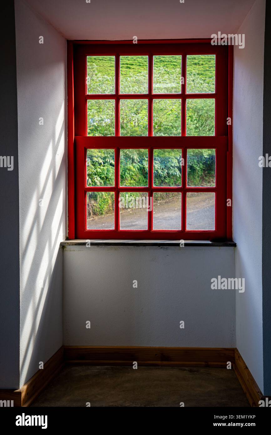 Rot kariertes Fenster mit Blick auf eine üppig grüne Fläche. Stockfoto
