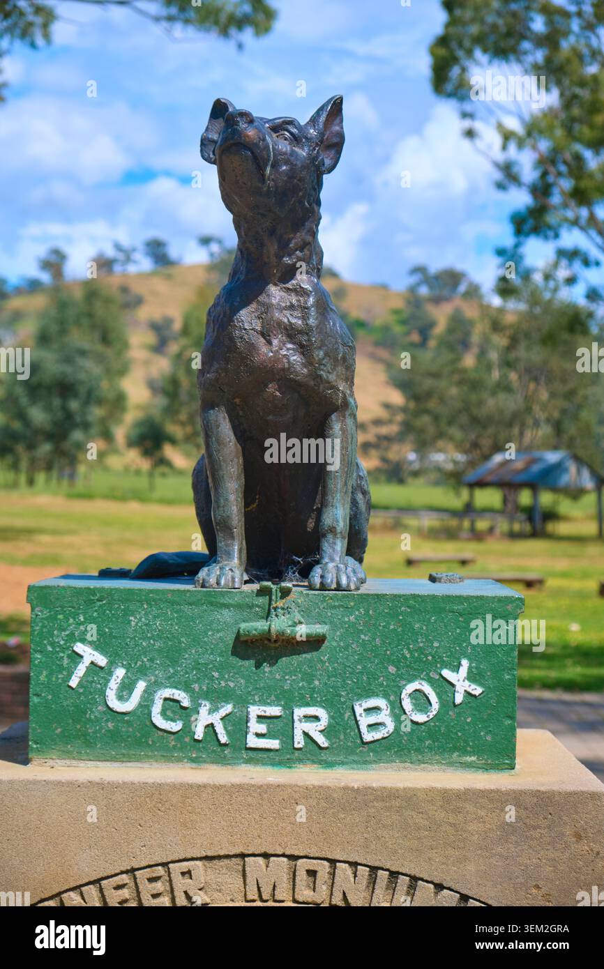 Sieht hart aus, königlich auf der Box. Bei der Dog on the Tuckerbox Skulptur, Statue, basierend auf einem Doggerel Gedicht, Bullocky Bill. In der Nähe von Gundagai, NSW, Australien. Stockfoto