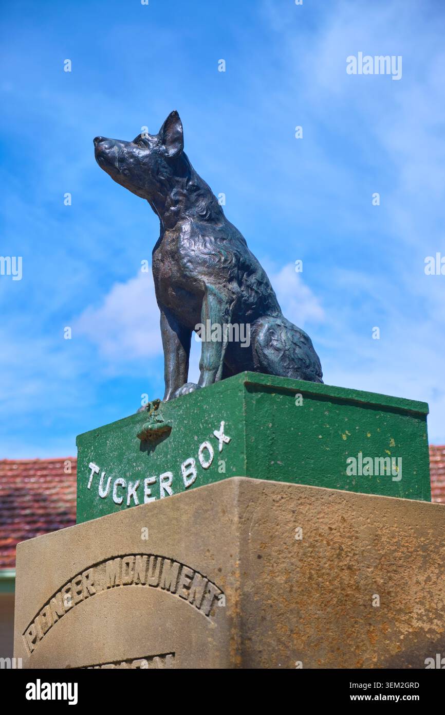 Sieht hart aus, königlich auf der Box. Bei der Dog on the Tuckerbox Skulptur, Statue, basierend auf einem Doggerel Gedicht, Bullocky Bill. In der Nähe von Gundagai, NSW, Australien. Stockfoto