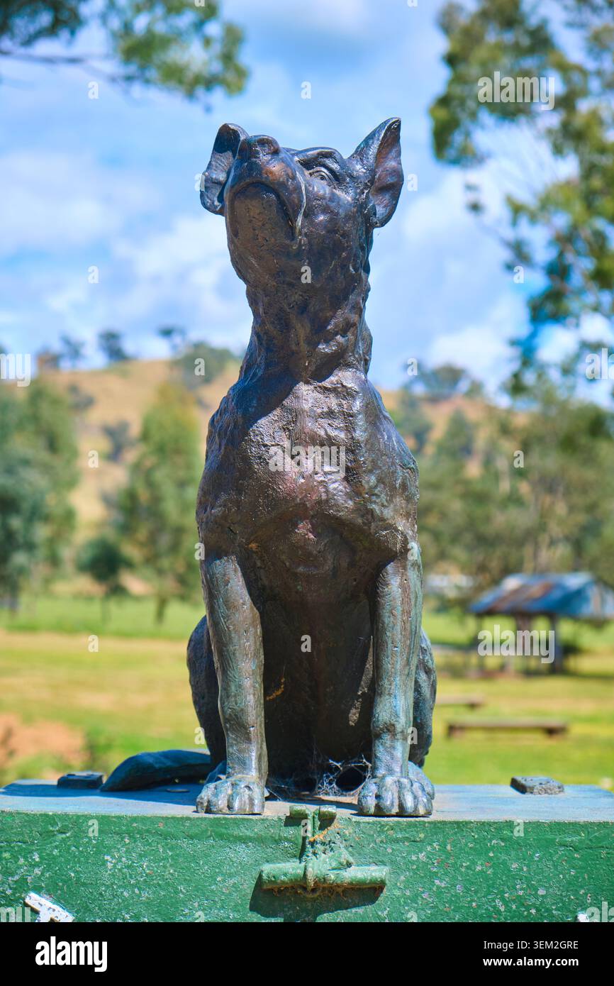 Sieht hart aus, königlich auf der Box. Bei der Dog on the Tuckerbox Skulptur, Statue, basierend auf einem Doggerel Gedicht, Bullocky Bill. In der Nähe von Gundagai, NSW, Australien. Stockfoto