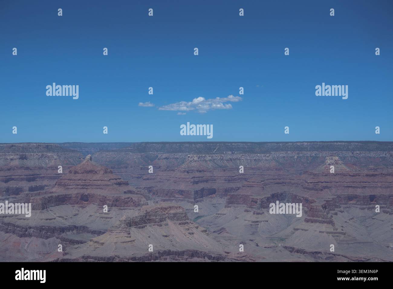 Weite Aussicht auf den Grand Canyon unter einem klaren blauen Himmel mit einer kleinen weißen Wolke über geschichteten felsigen Klippen und Wüstenlandschaft. Stockfoto