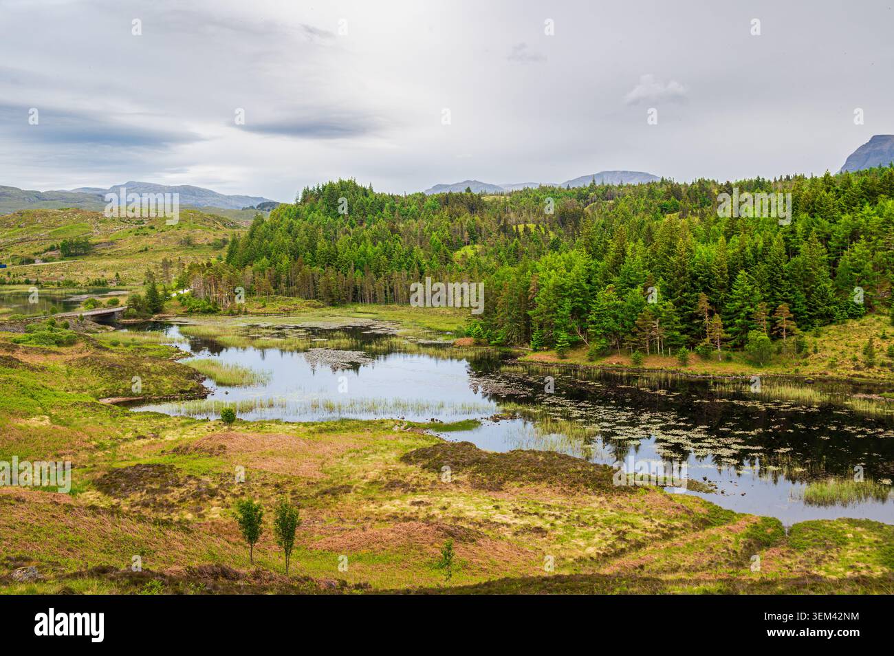 Wunderschöne Landschaft an der Nordküste 500 mit einem Wald und einem Teich mit Reflexion auf dem Wasser, Schottland Stockfoto