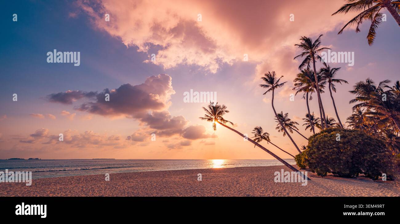 Sich neigende Palmen an einem dramatischen Sonnenuntergangsstrand, lila und orange Wolken über ruhigem Meer, Sonne spiegelt sich auf ruhiger tropischer Küste, stimmungsvolle Inselabend-Pano Stockfoto