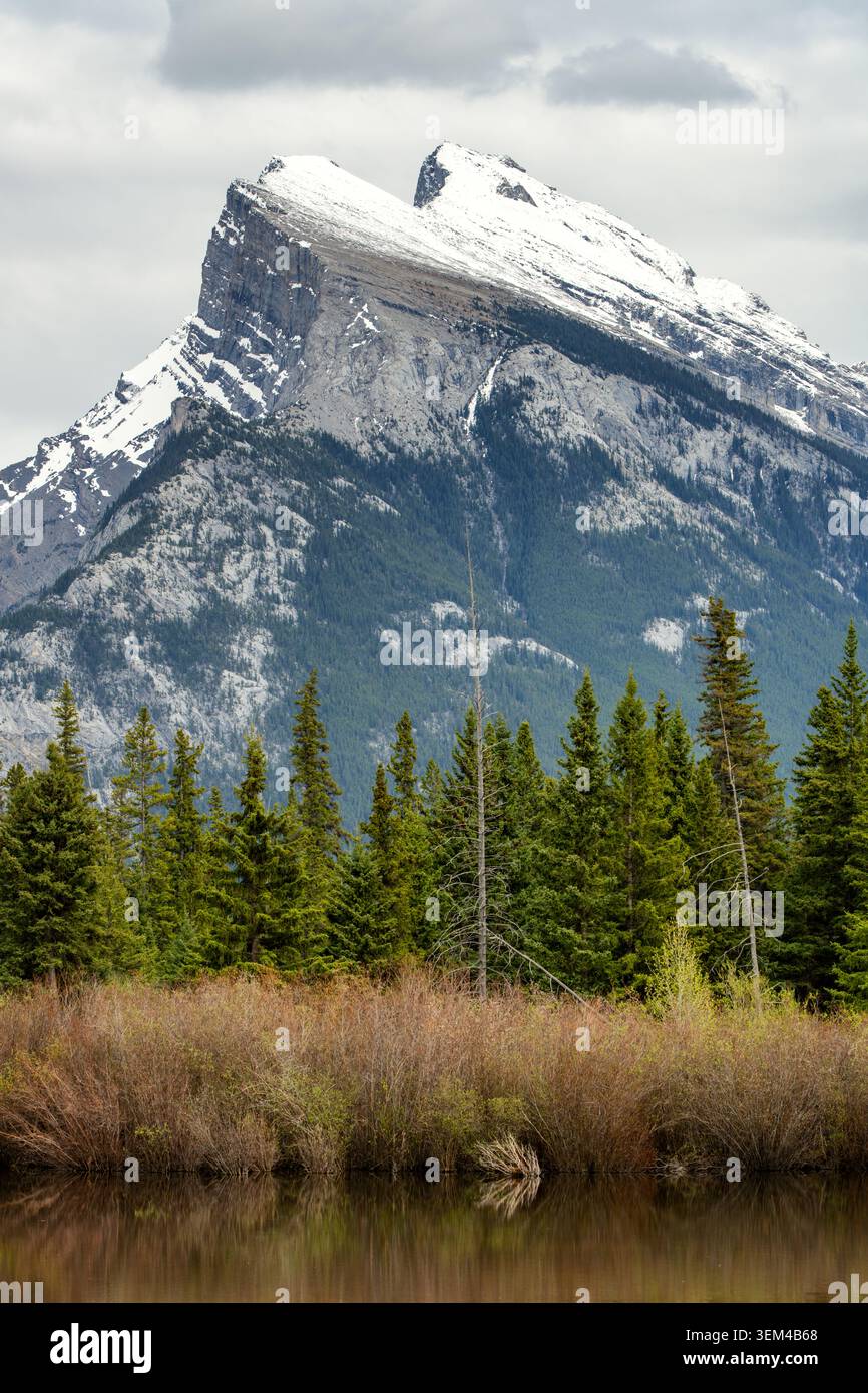 Der schneebedeckte Mount Rundle im Banff National Park Stockfoto