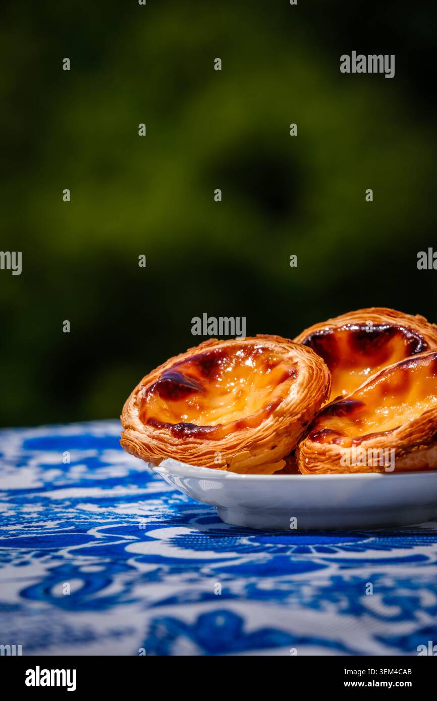 Portugiesische Pudding-Torten, Pastell de nata, teilweise gerahmt auf einem blauen Azulejo-Tisch mit verschwommenem Grün. Traditionelles Gebäck, kulinarische Reise, authentischer Geschmack, Dessert zum Ziel Stockfoto