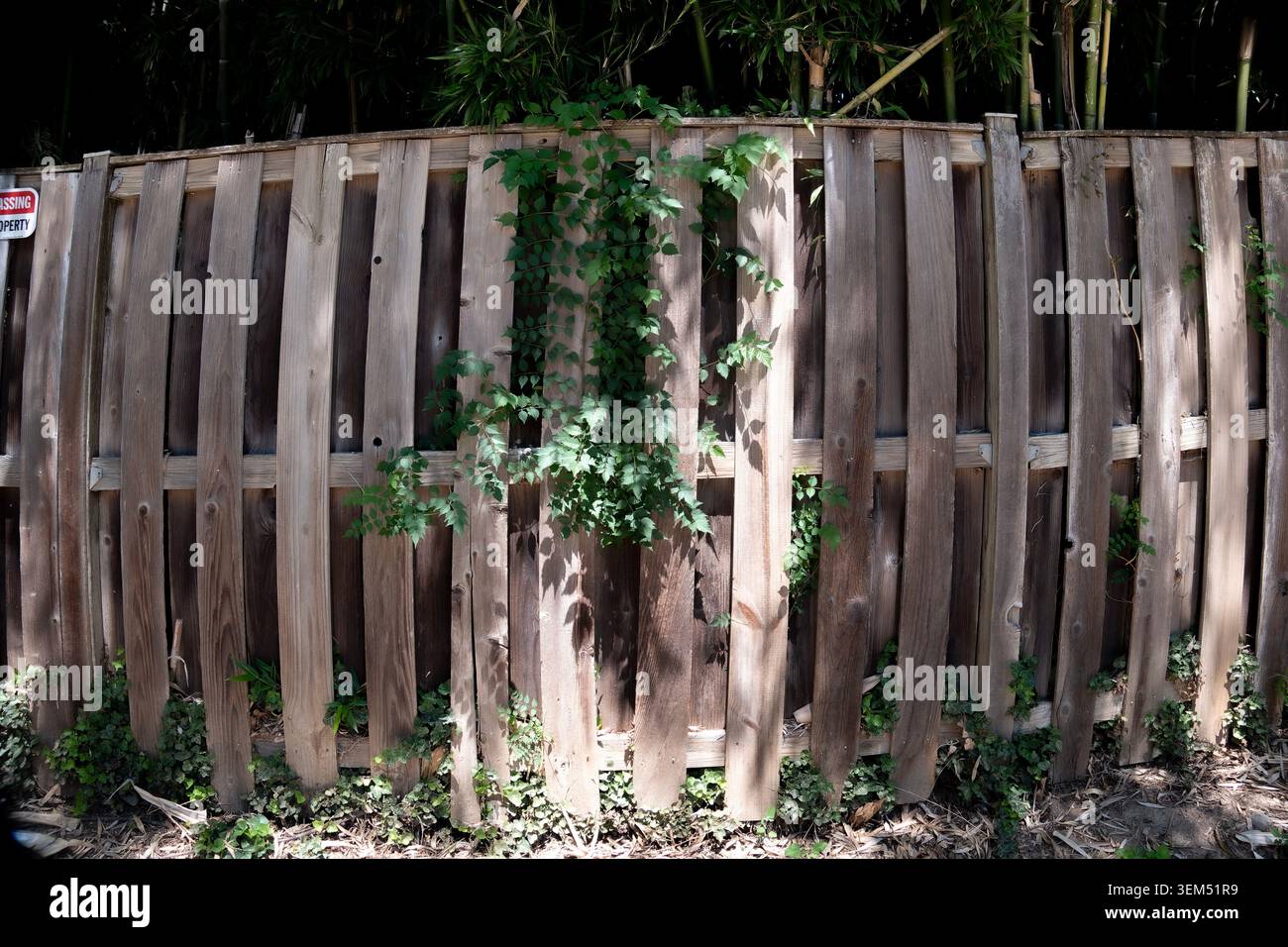 Ein verwitterter Holzzaun in verwittertem Licht Stockfoto