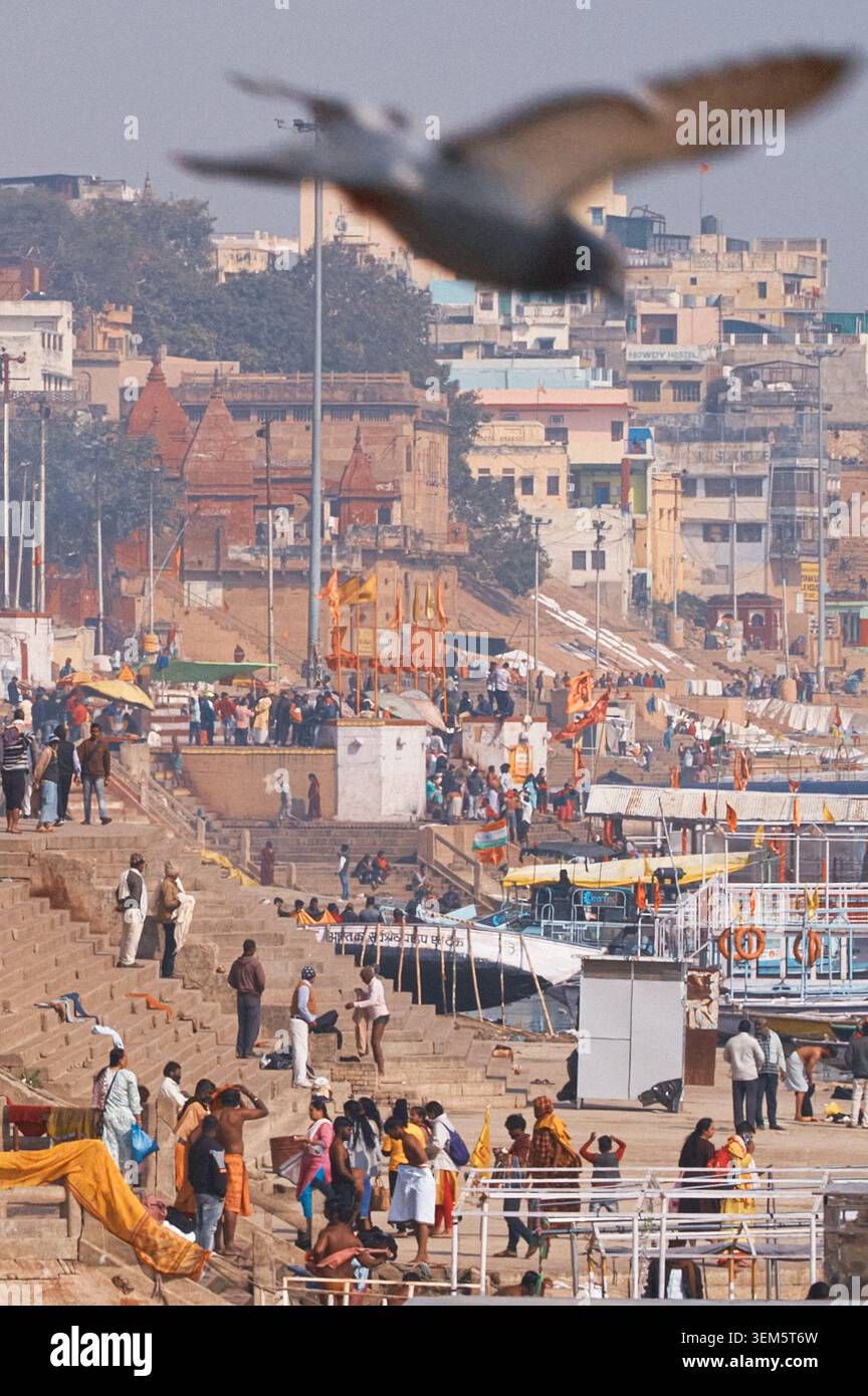 Vogel Fliegt Über Sonnenbeschienene Ghats Stockfoto