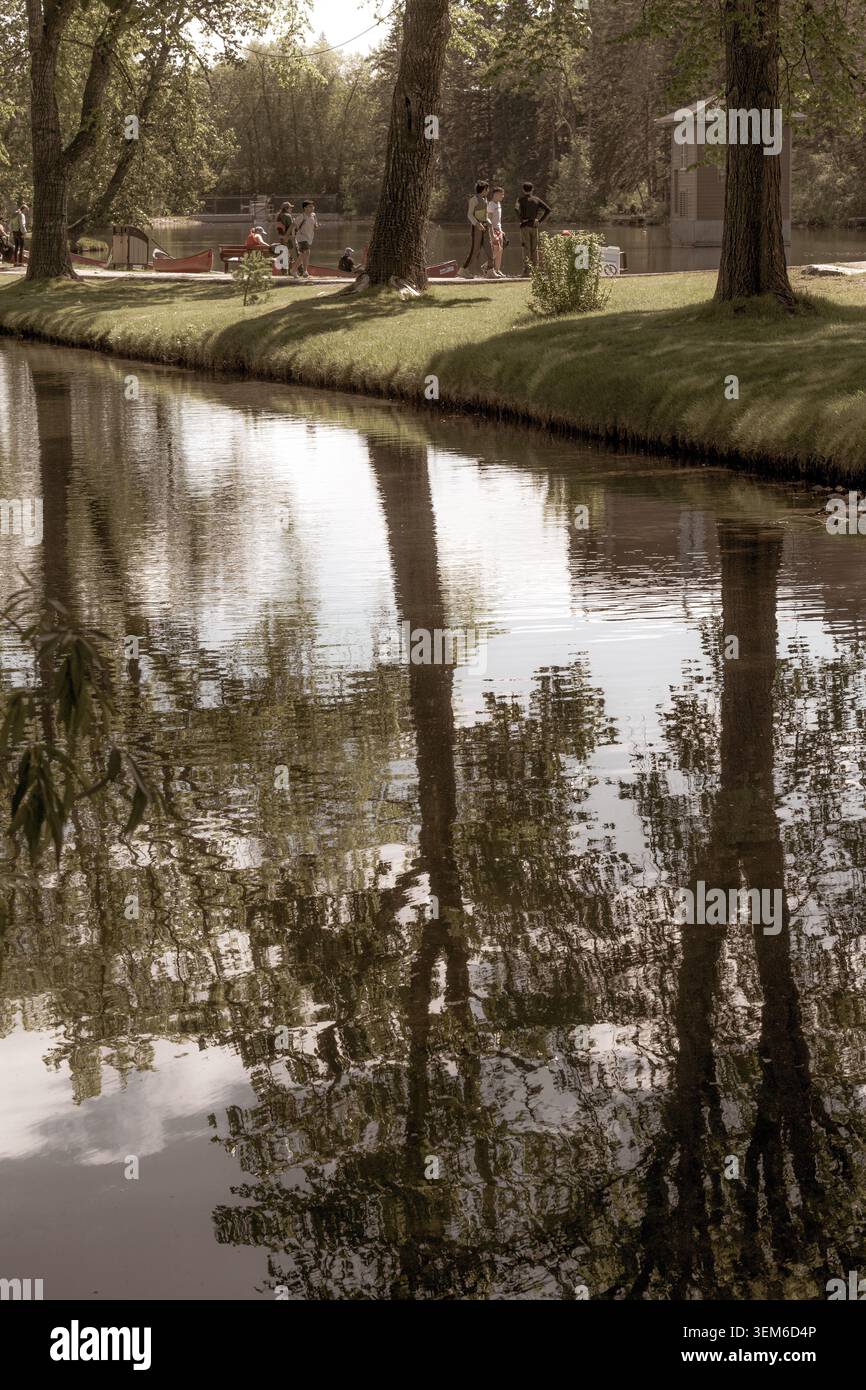 Ein malerischer Blick auf einen ruhigen Teich, der an einem hellen Frühlingstag im Park die hohen, üppig grünen Bäume reflektiert. Bowness Park, Calgary, Alberta, Kanada Stockfoto