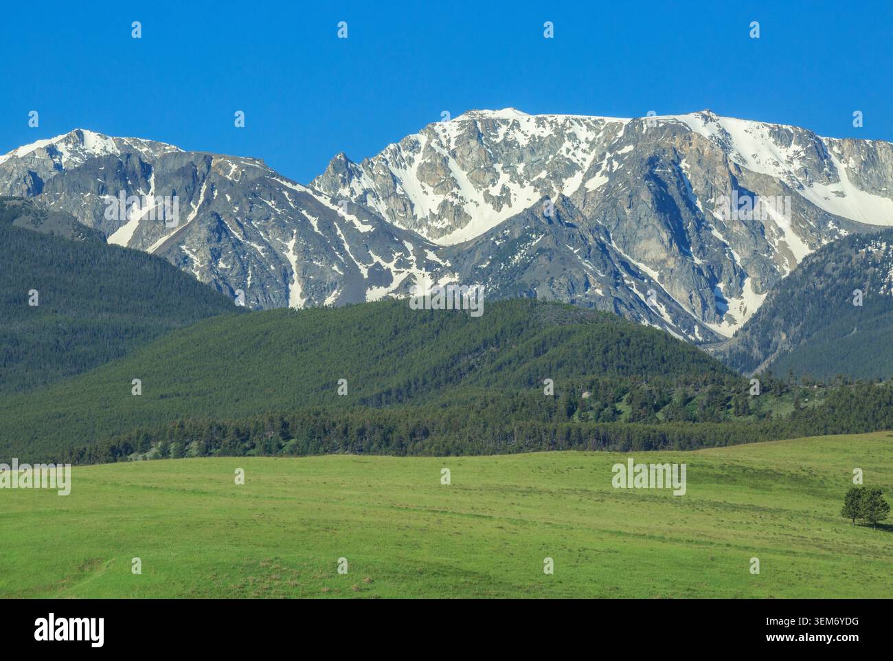 beartooth Mountains und Ausläufer in der Nähe von Dean, montana Stockfoto
