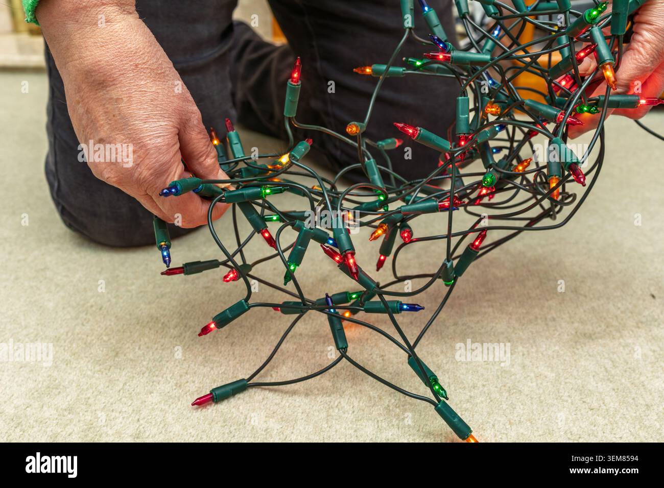 Frau entwirrt beleuchtete Weihnachtsbaumlichter auf einem Wohnzimmerteppich, während sie festliche Dekorationen zuhause vorbereitet Stockfoto
