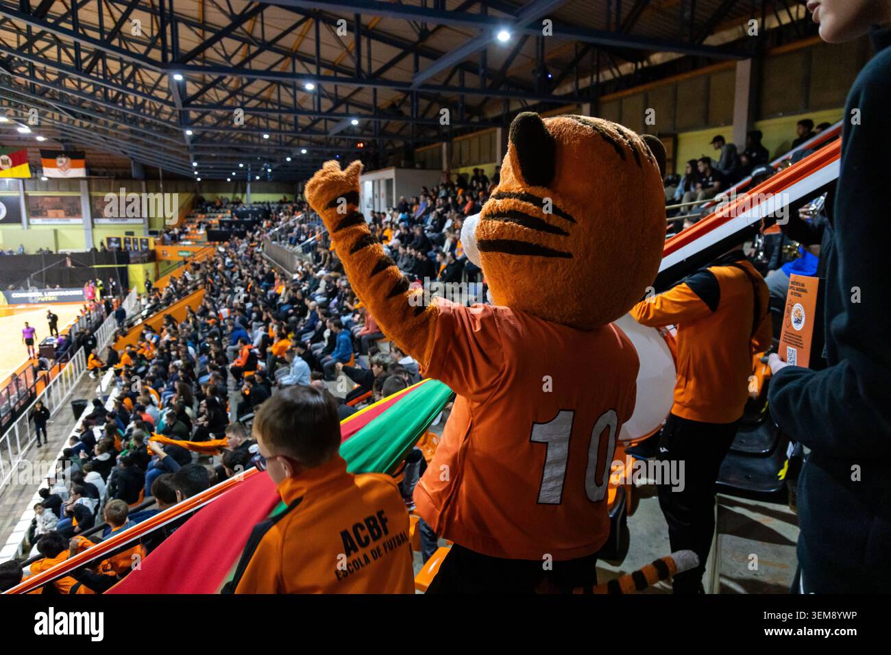 Carlos Barbosa, RS, Brasilien - 28. Mai 2026: Das Tigermaskottchen des ACBF jubelt in den Tribünen während eines Futsal-Spiels in der ACBF-Arena Stockfoto