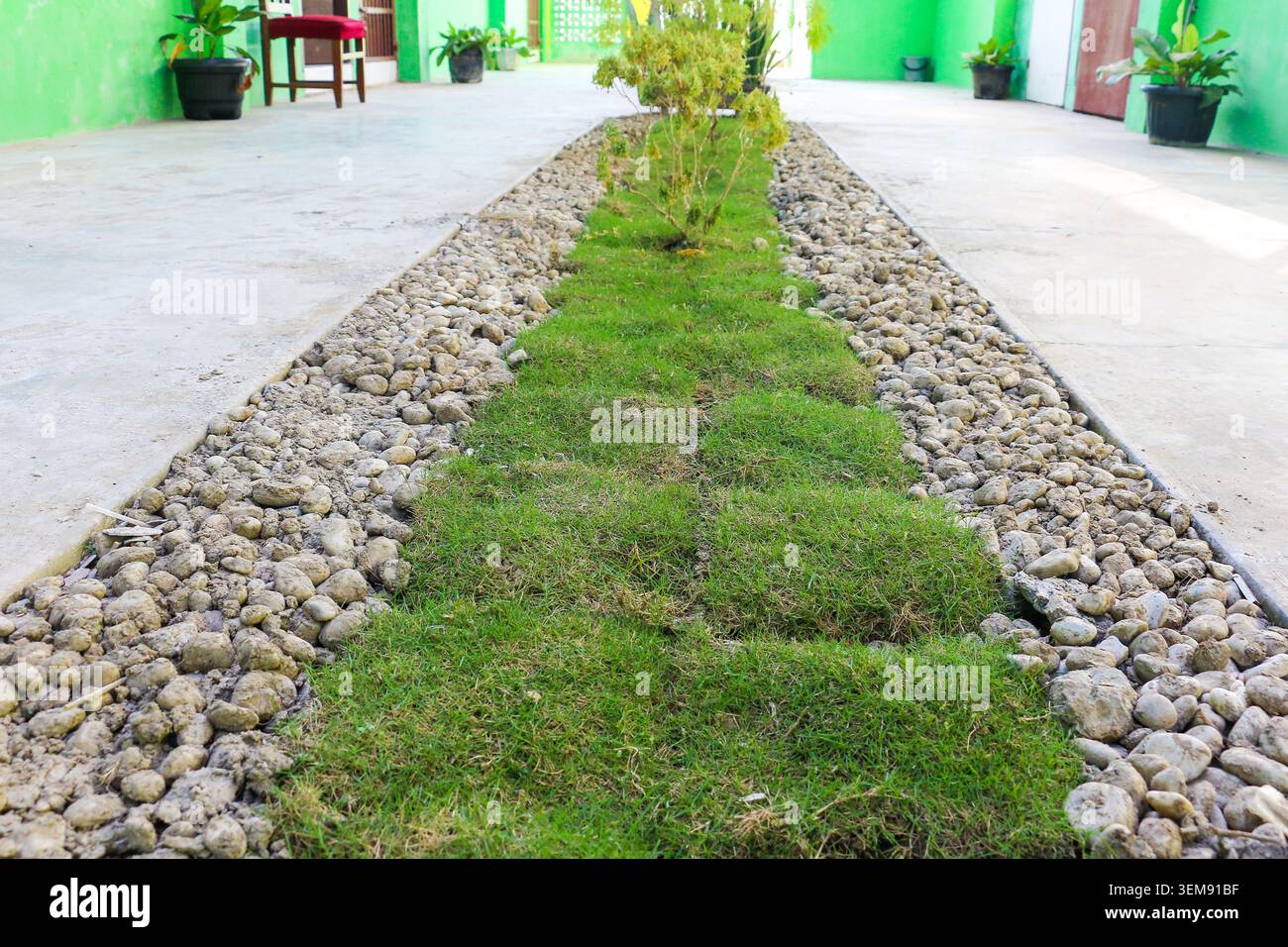 Modernes Innenhofdesign mit grünem Grasweg, dekorativen Flusssteinen und tropischen Pflanzen im Wohnhauskorridor Stockfoto