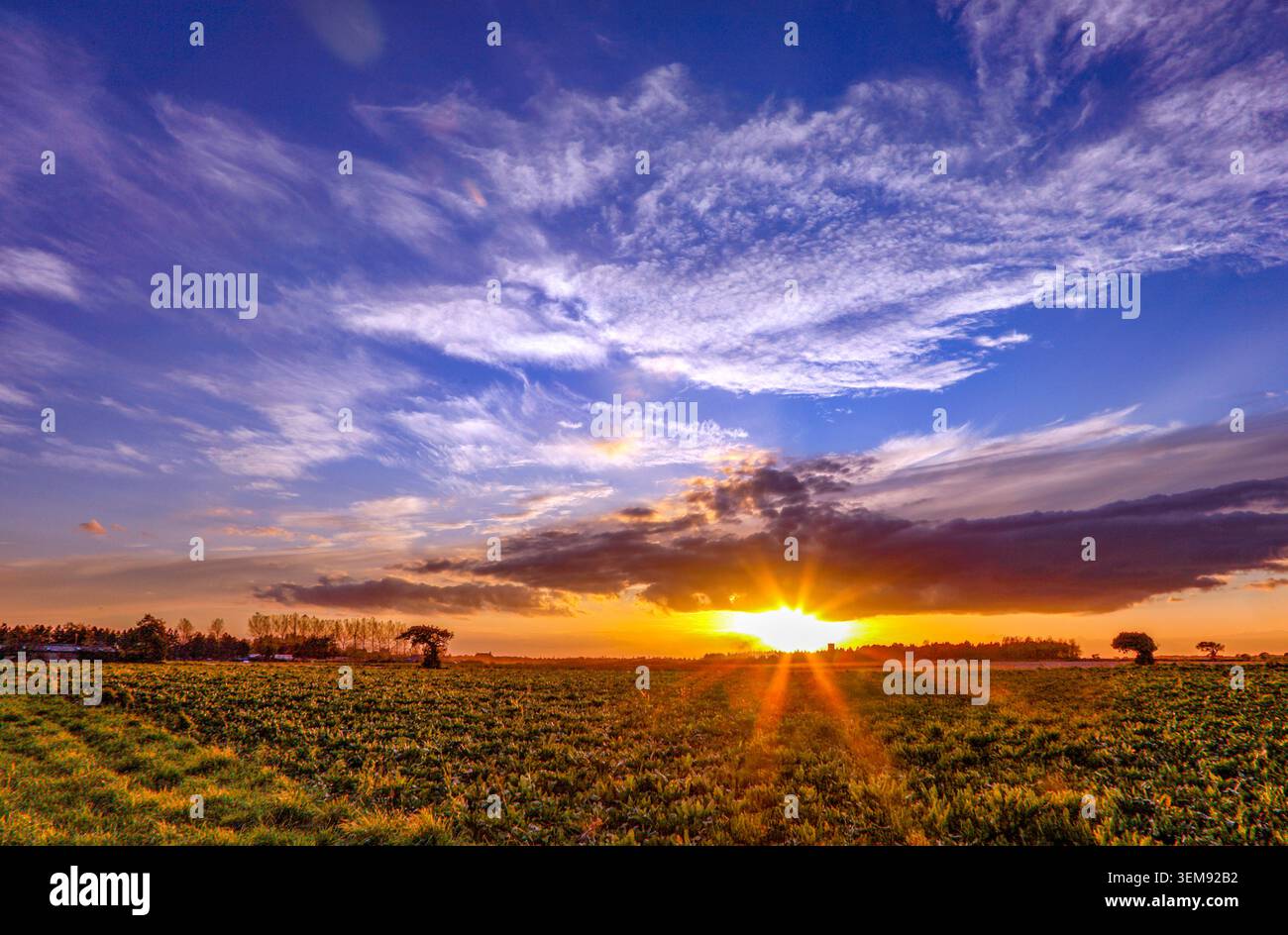 Sonnenuntergang über dem Feld. Stockfoto