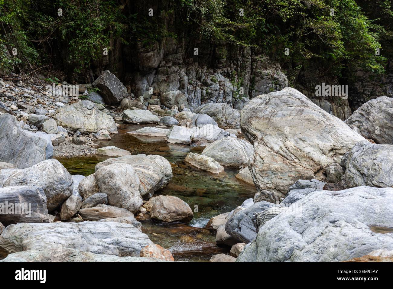 Sanzhanxi Flussbett mit großen Marmorfelsen in Taroko, Taiwan. Klares Wasser fließt zwischen Steinen. Grüner Wald bedeckt steile Klippen. Stockfoto