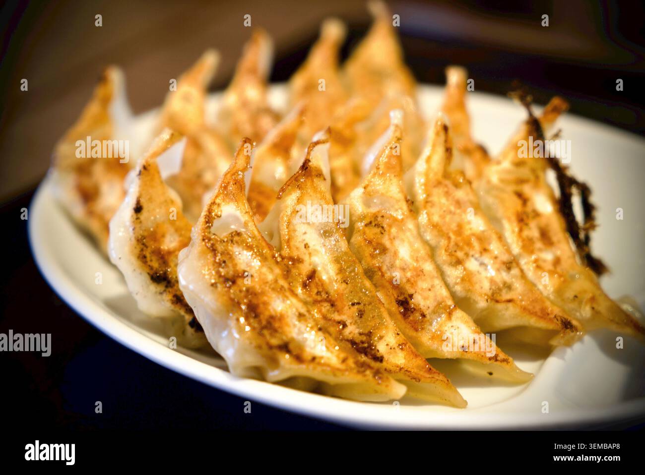 Japanische Gyozas Stockfoto