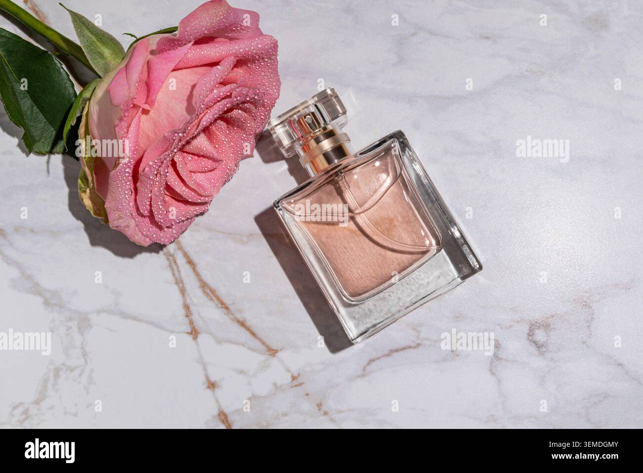 Luxuriöse Parfümflasche mit sanftem rosa Duft neben einer taufrischen Rose auf Marmorhintergrund, die an Blumenaroma, frischen Geruch und feminine Schönheit erinnert Stockfoto