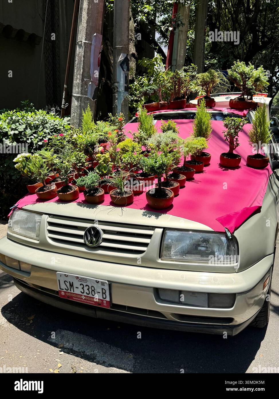 Ein Blumenladen und ein Auto mit Topfpflanzen an einer grünen Straßenecke in Condesa, Mexiko-Stadt Stockfoto