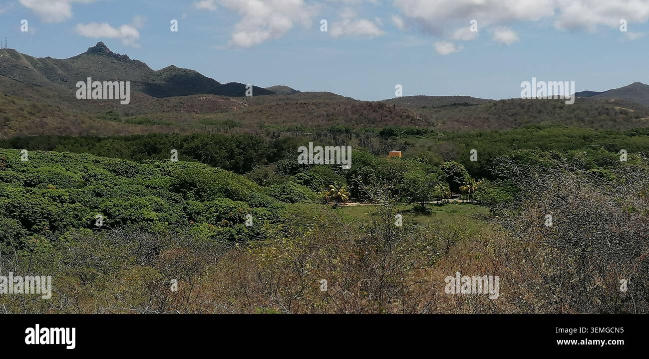 Christoffelberg- und Band'abou-Landschaft in Curacao mit trockenen Wäldern, sanften Hügeln und zerklüfteter Karibik-Landschaft - Smartphone-aufgenommenes Stockfoto
