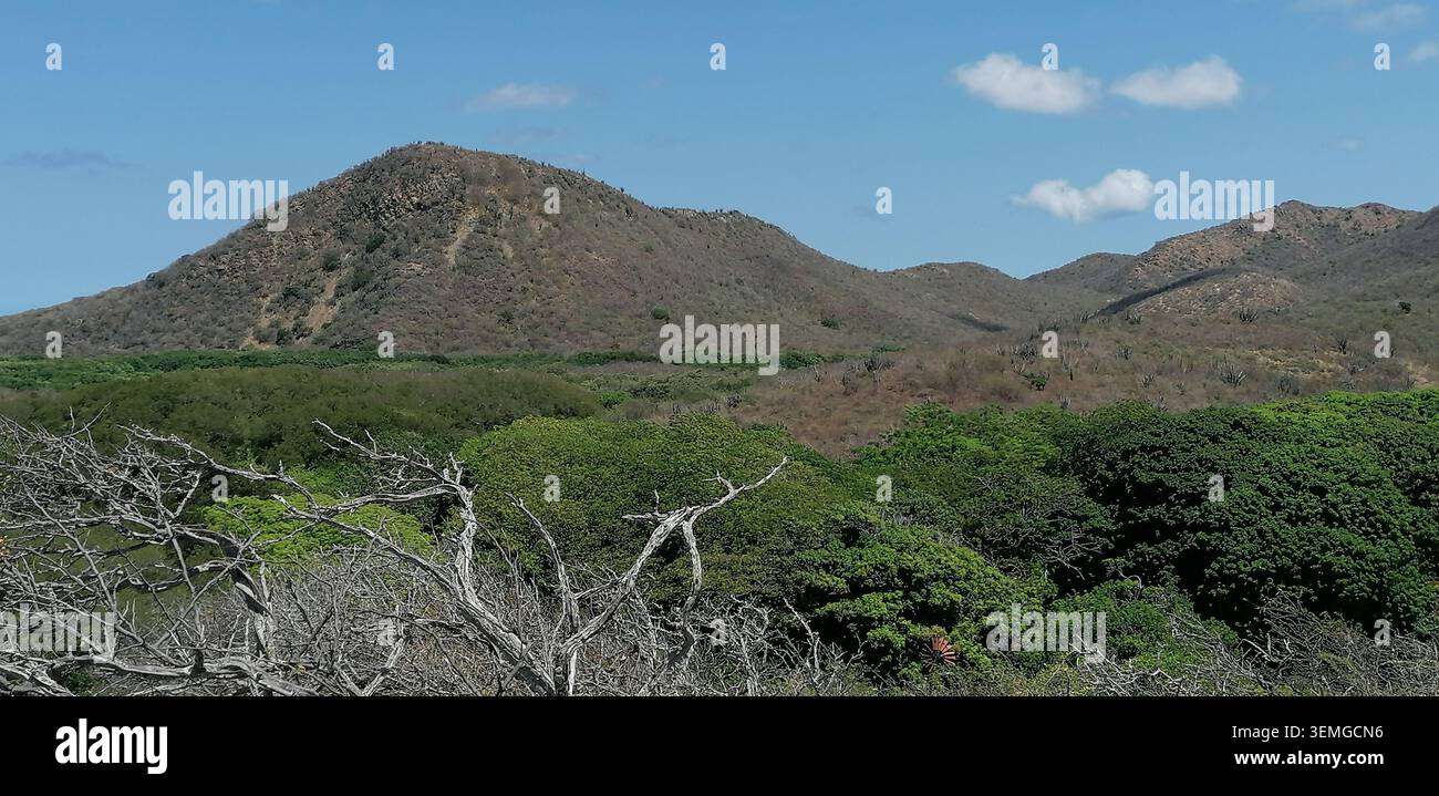 Christoffelberg- und Band'abou-Landschaft in Curacao mit trockenen Wäldern, sanften Hügeln und zerklüfteter Karibik-Landschaft - Smartphone-aufgenommenes Stockfoto