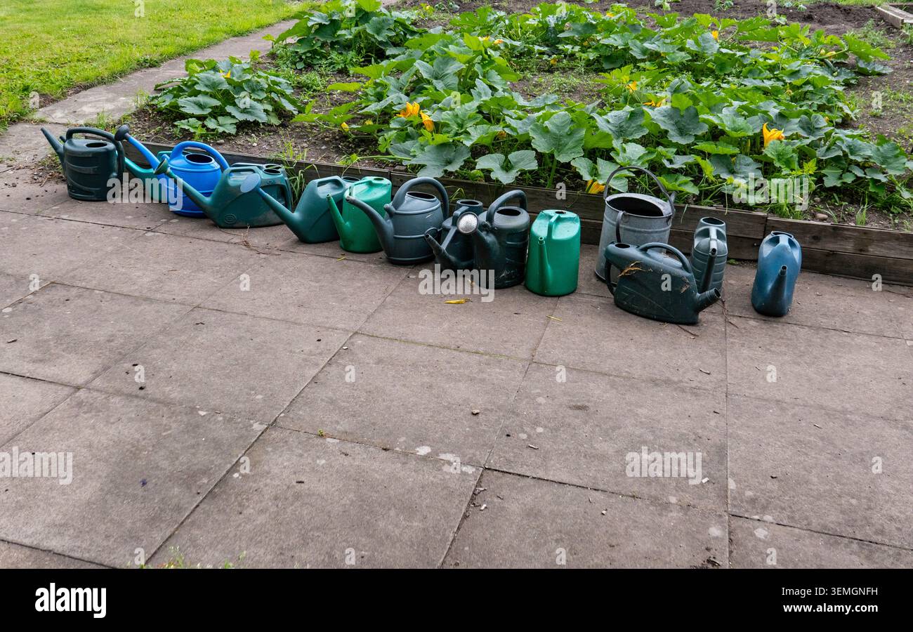 Eine Reihe farbenfroher Gießkannen, die neben Blattpflanzen in einem Gemeindegartengarten aufgereiht sind, fängt alltägliche Gartenwerkzeuge und das Schrebergleben ein Stockfoto