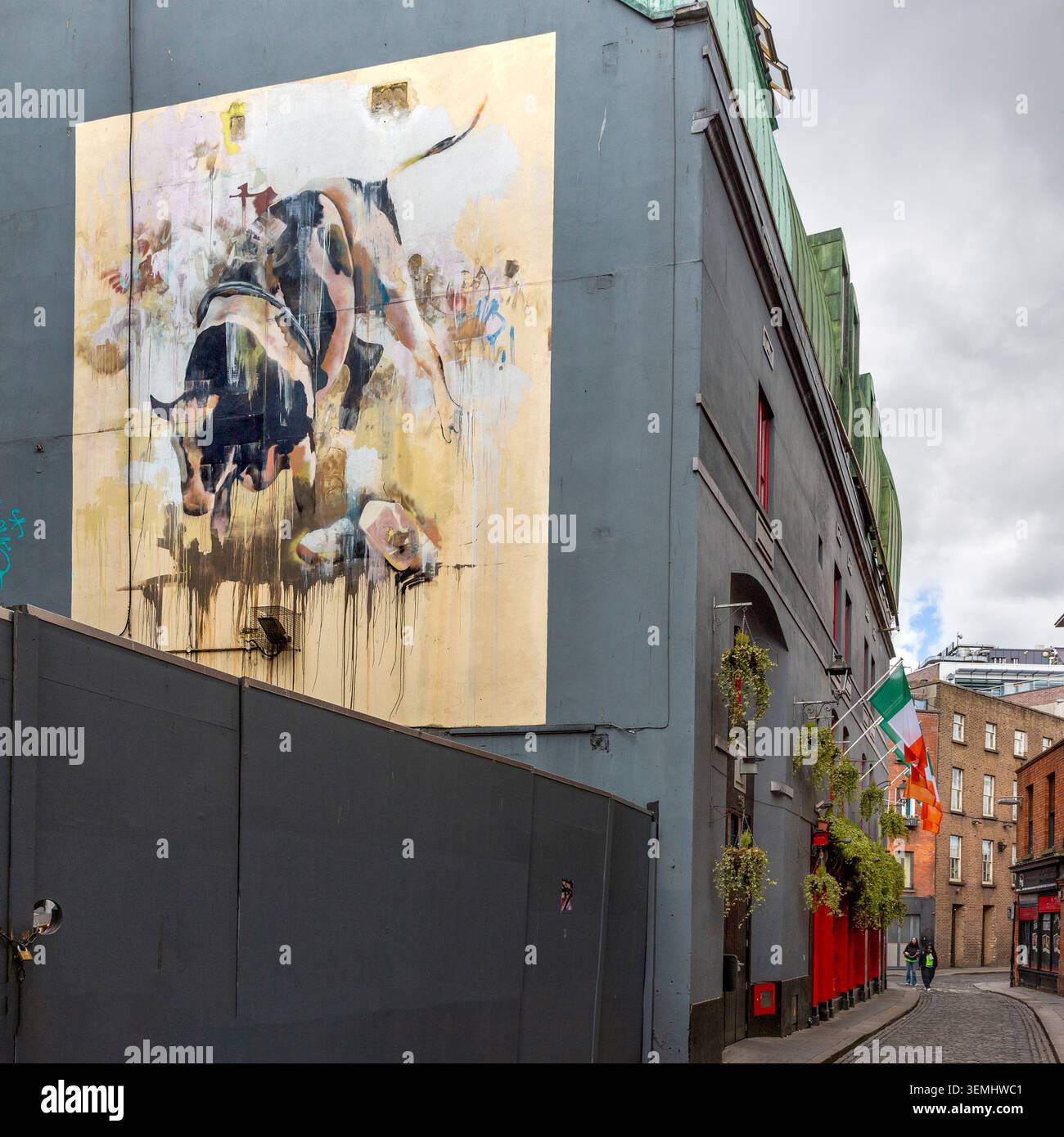 Das Wandgemälde von Conor Harrington aus dem Jahr 2011 zeigt einen Rodeo-Reiter, der von einem Stier geworfen wird. Das Wandbild befindet sich im Temple Bar District in der Sycamore Street in Dubl Stockfoto