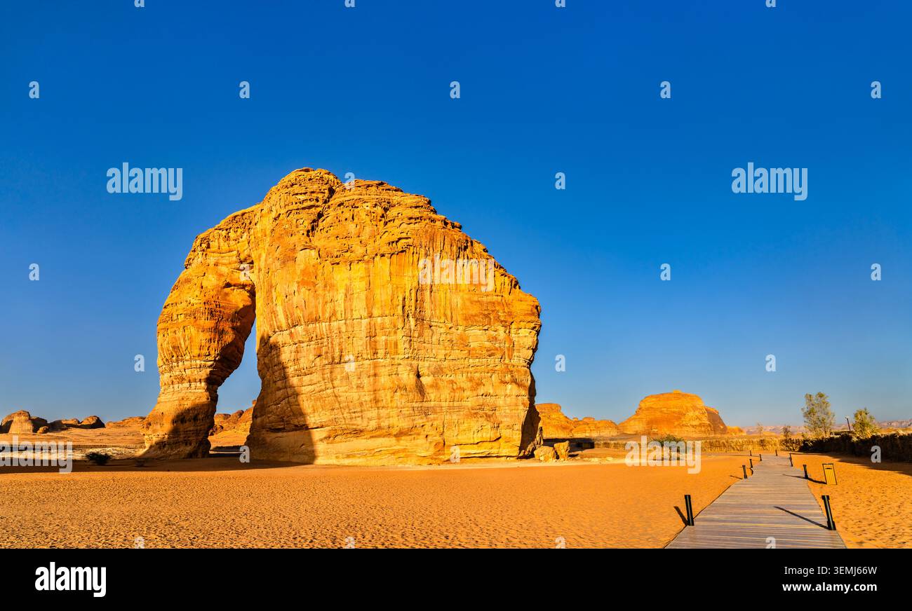 Der massive Elephant Rock, auch bekannt als Jabal AlFil, steht in der Wüste von Al Ula, Saudi-Arabien, mit einem Holzsteg im Vordergrund unter einem klaren blauen Himmel. Stockfoto