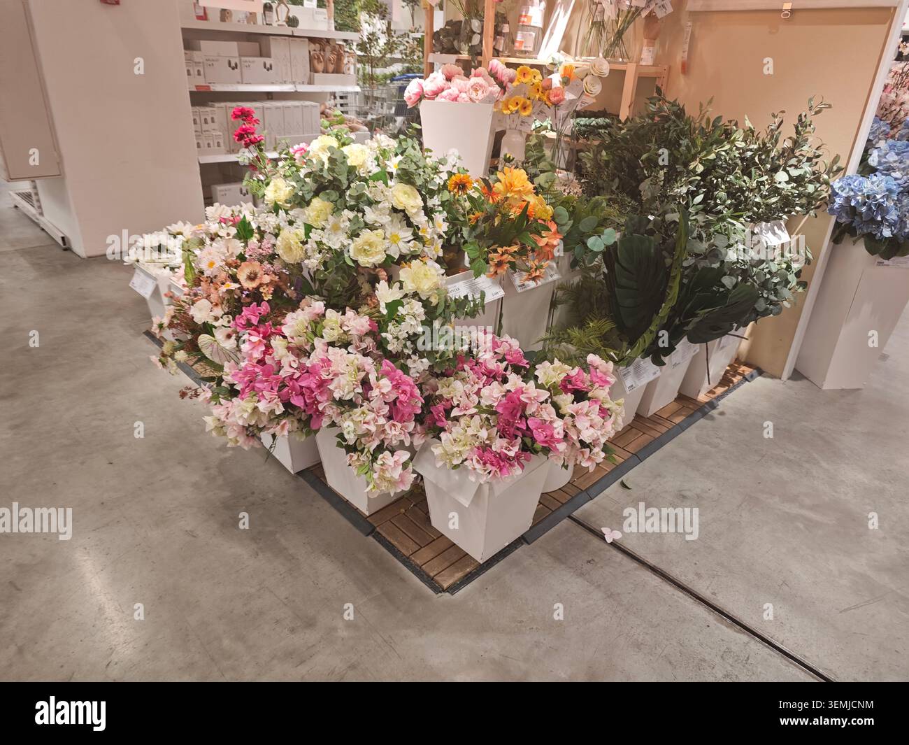 Serbien Belgrad Ikea 03.06.2026 Bunte Blumenausstellung Im Gartenzentrum Stockfoto