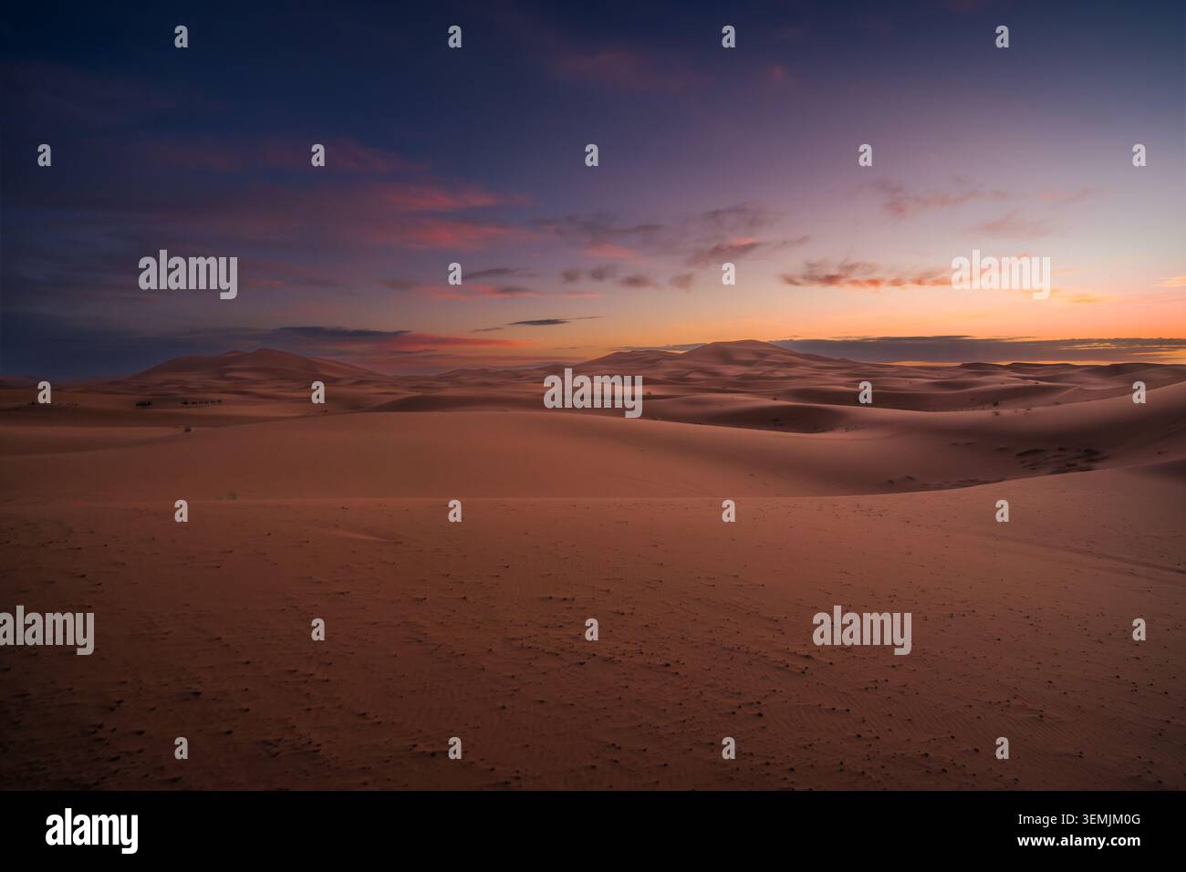 Minimalistische Wüstenszene mit weichen Sanddünen und farbenfrohem Sonnenaufgangshimmel in der Sahara. Stockfoto