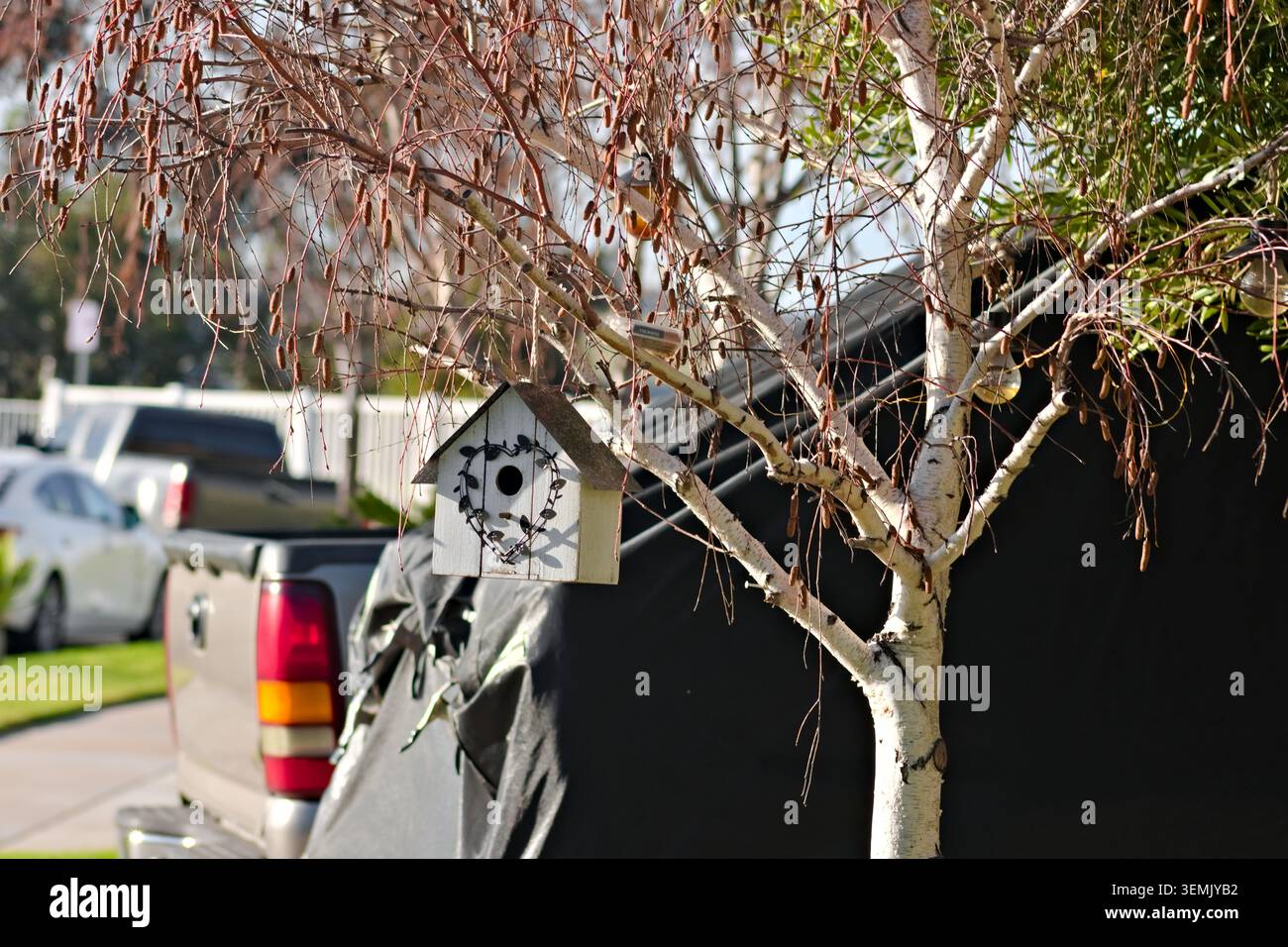 Vogelhaus im Corona Residential Yard Stockfoto