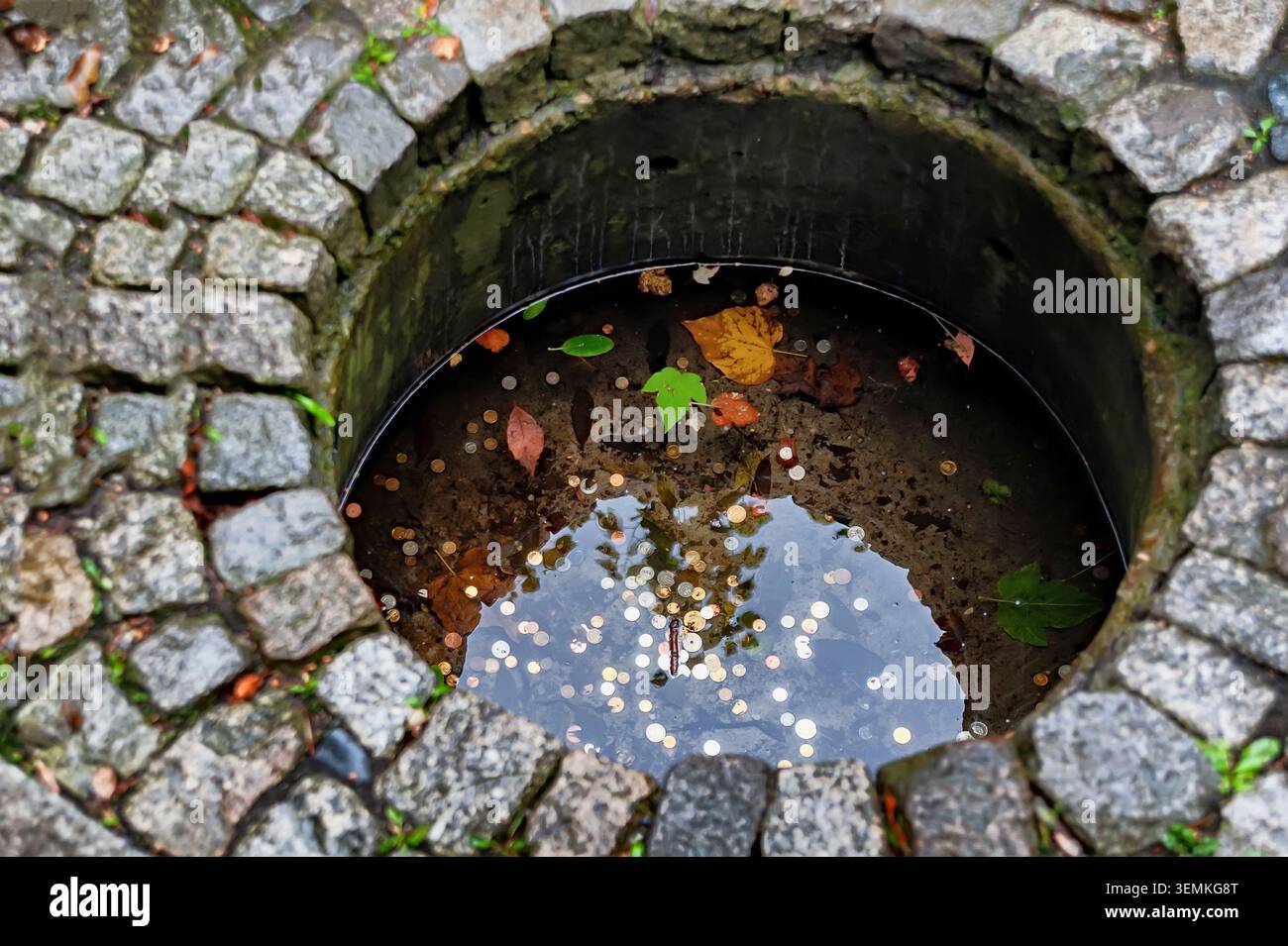 Ein kleiner Brunnen mit Münzen in einem Garten Stockfoto