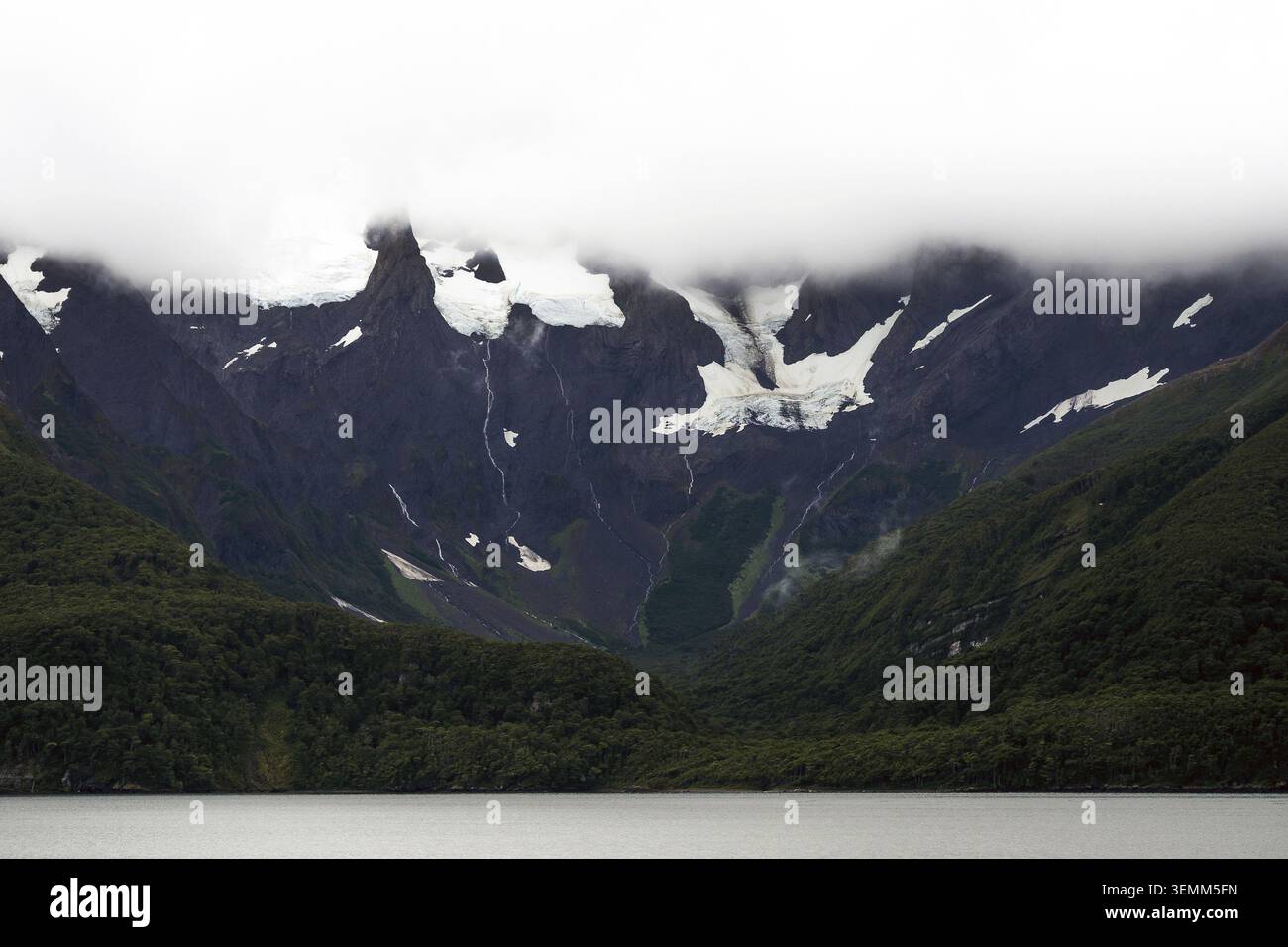 001 012025 1185 Stockfoto