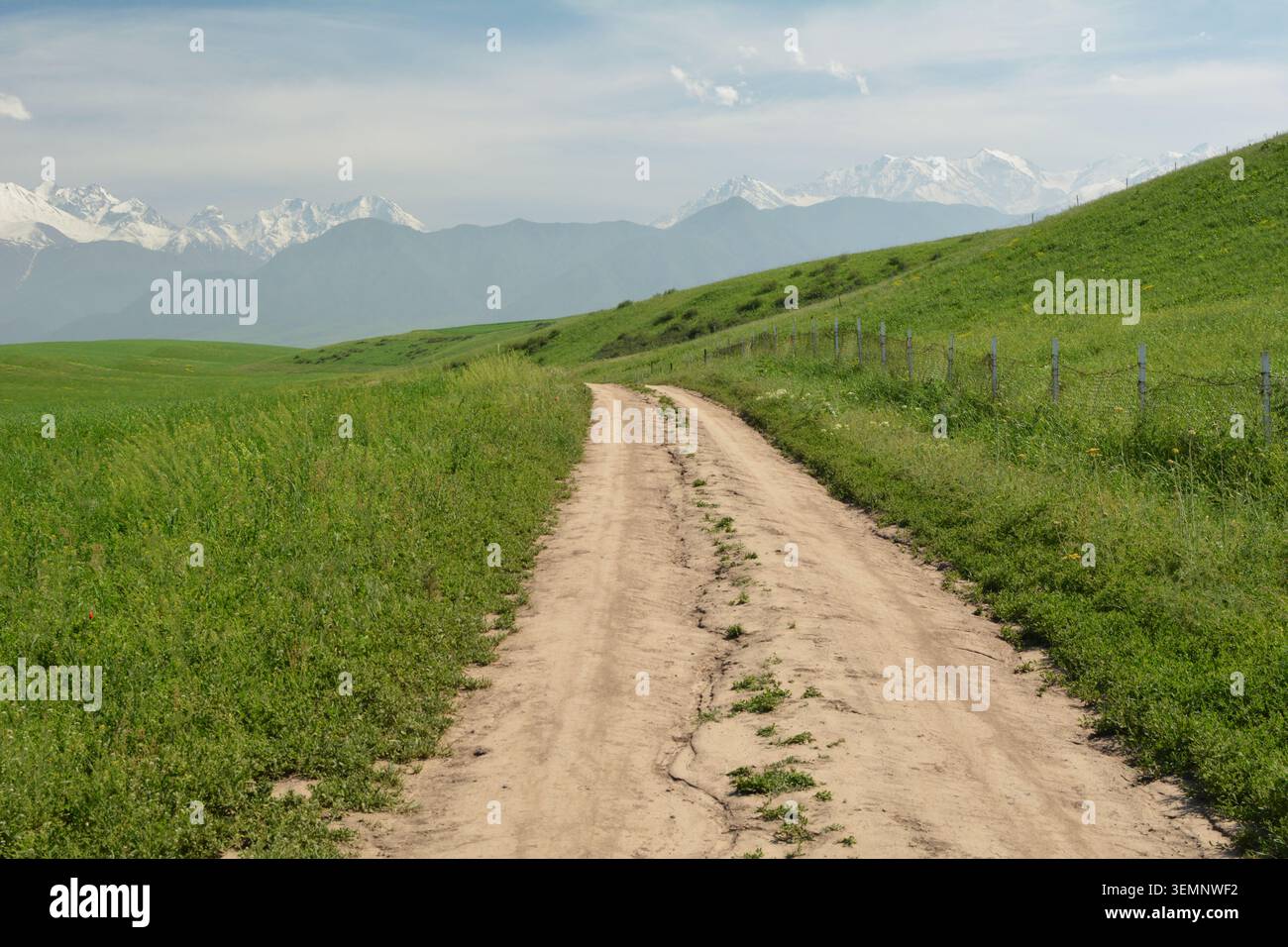 Unbefestigte Straße durchquert üppige grüne Hügel mit fernen, schneebedeckten Bergen unter blauem Himmel, mit einem Zaun auf der rechten Seite und umgeben von hohen Gra Stockfoto