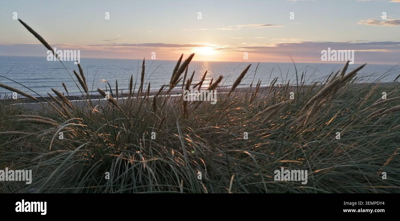 Sonnenuntergang über der Nordsee in Bjerregård, Dänemark, mit sanften Wellen, Sandstränden und farbenfrohem Abendhimmel - Smartphone-aufgenommenes Stockfoto