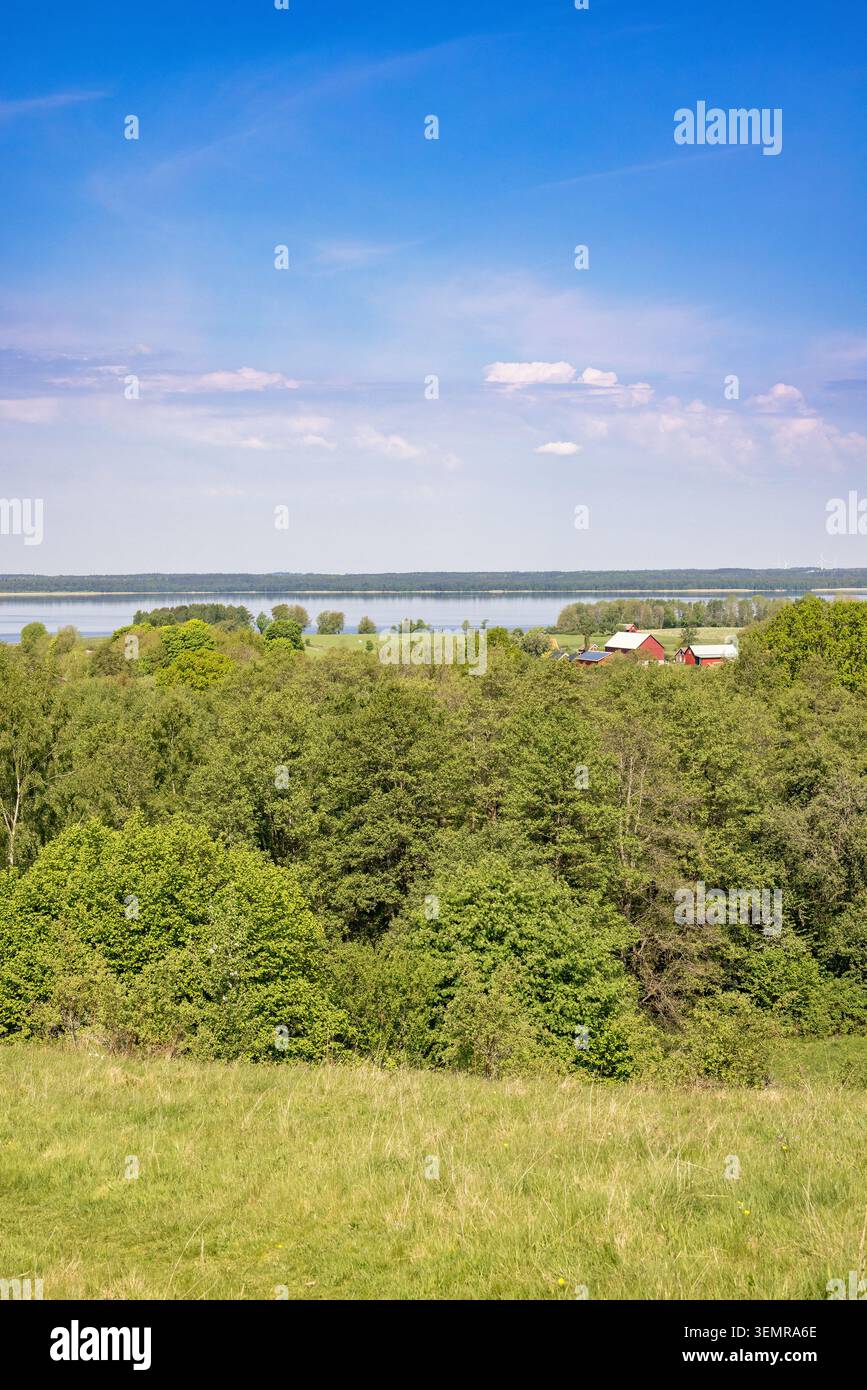 Blick auf die üppig grünen Baumkronen in einer wunderschönen Landschaft Stockfoto