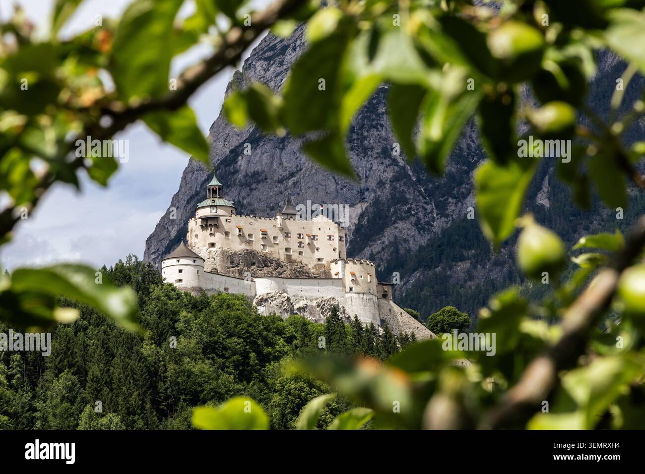 Ein malerischer Blick auf das Schloss Neuschwanstein, umgeben von üppig grünen Blättern. Das berühmte Schloss befindet sich auf einem felsigen Hügel mit Blick auf ein Tal und weit entfernte m Stockfoto